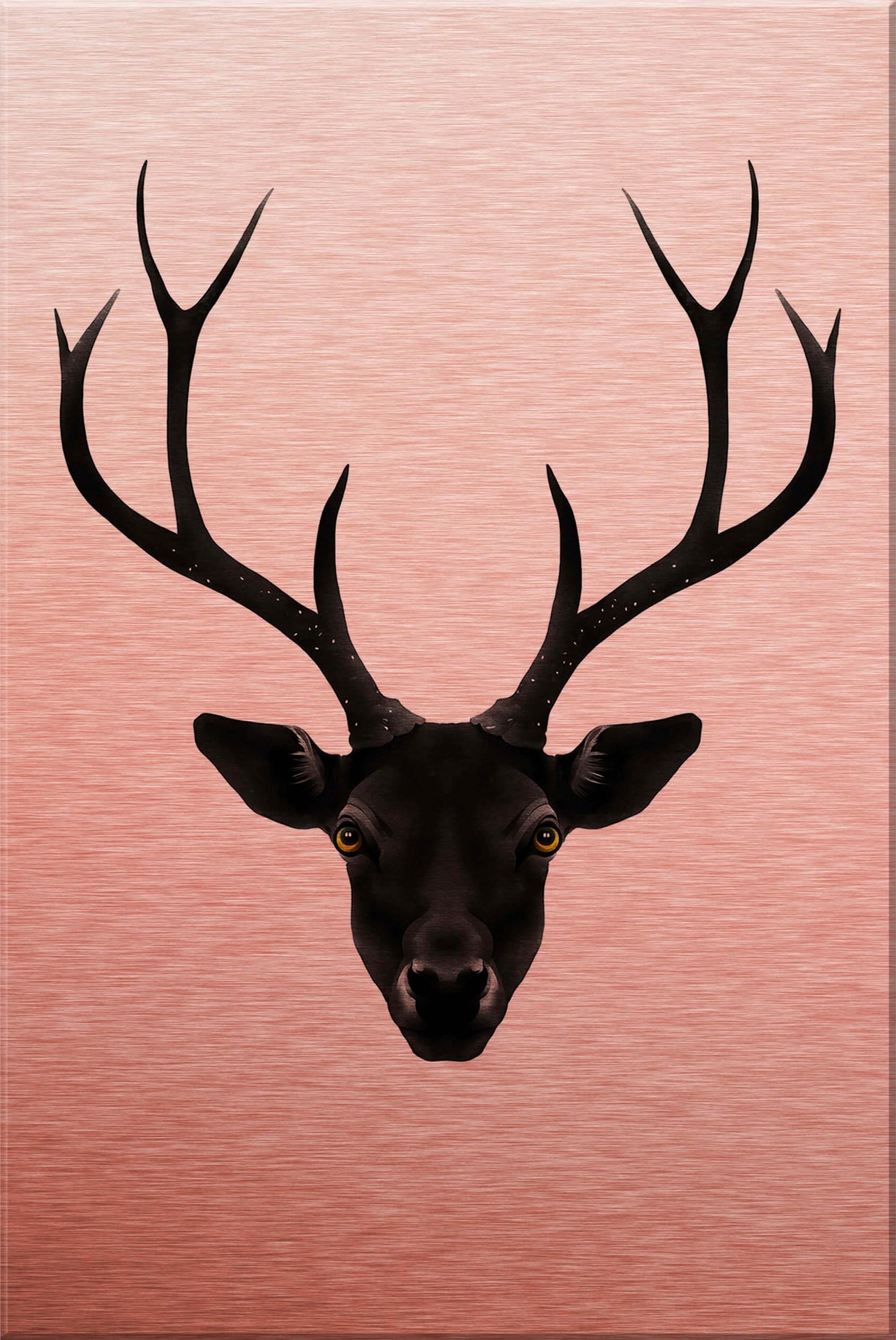Image of Wall-Art Alu-Dibond-Druck »Ireland - The Black Deer - Schwarzer Hirsch« bei Ackermann Versand Schweiz