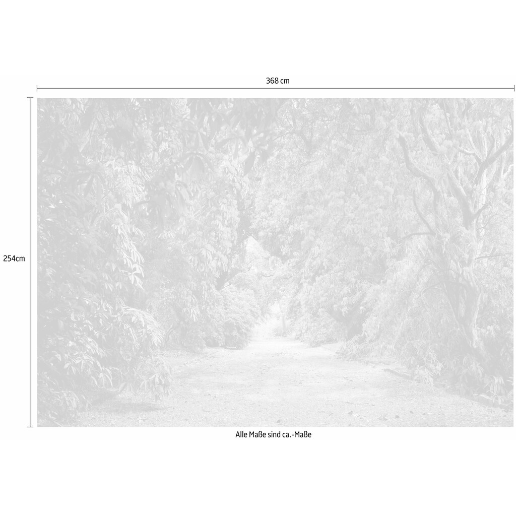 Komar Fototapete »Wicklow Park«, 368x254 cm (Breite x Höhe), inklusive Kleister