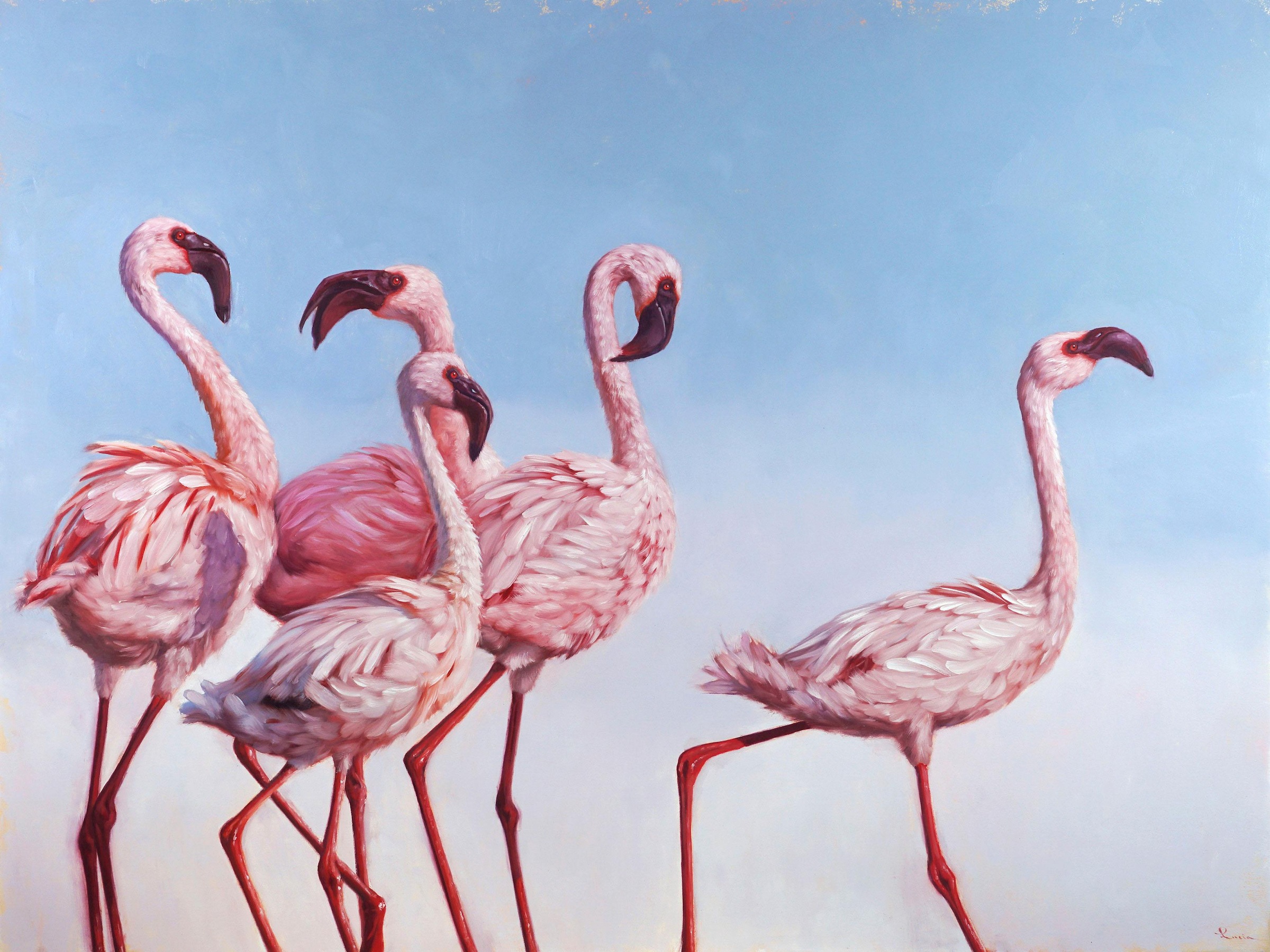 Image of my home Deco-Panel »HEFFERNAN / Pink Ladys«, (80/3/60 cm) bei Ackermann Versand Schweiz