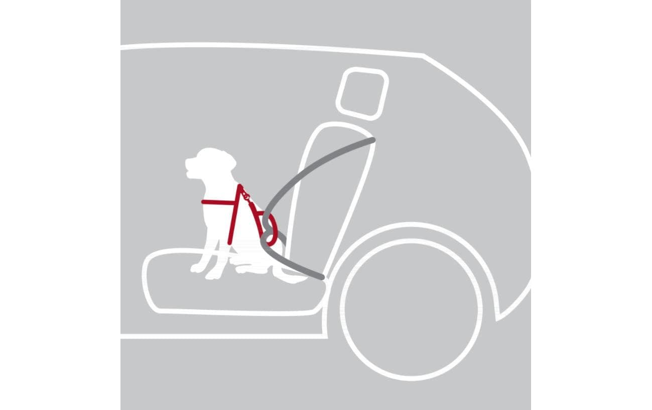 TRIXIE Hunde-Geschirr »Auto-Geschirr Dog Protect«, Nylon