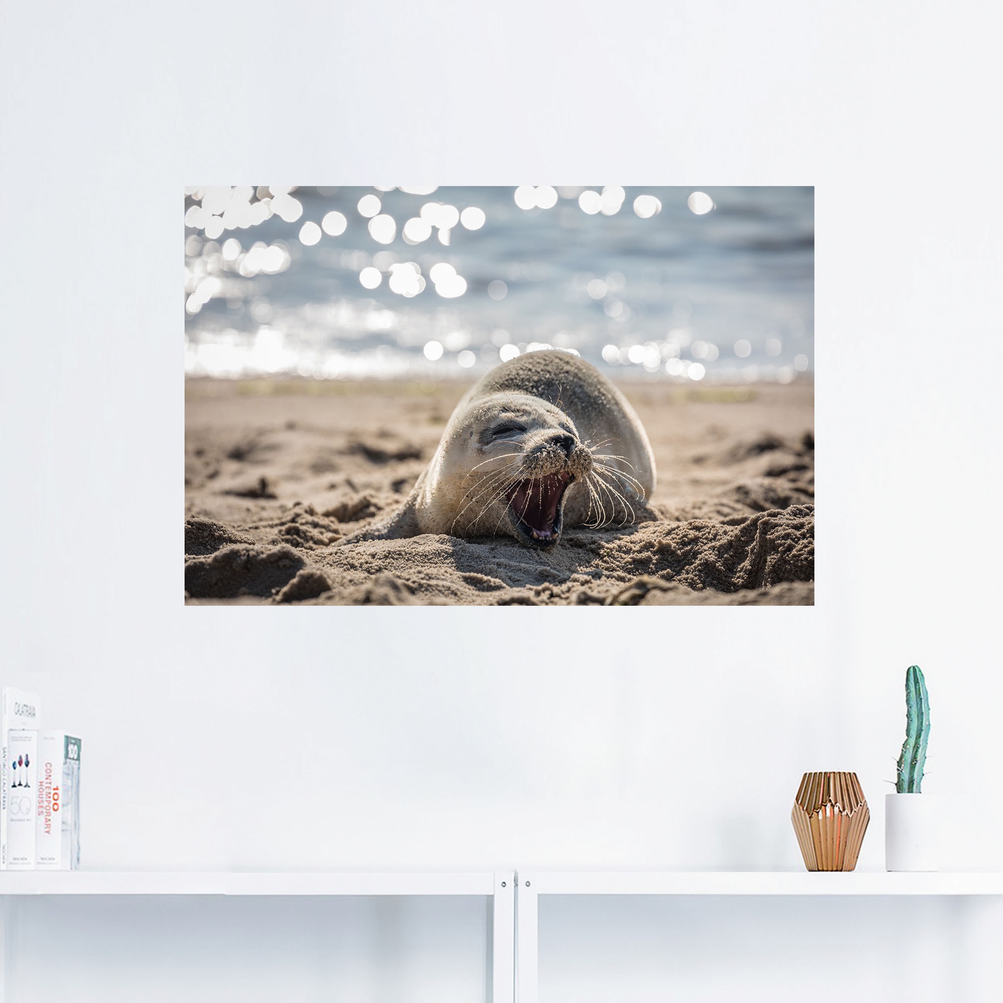 Leinwandbild, kaufen Wandaufkleber Robben, St.), Wandbild am List, in oder Strand als günstig Artland Poster Sylt«, Grössen »Baby-Robbe versch. von Alubild, (1