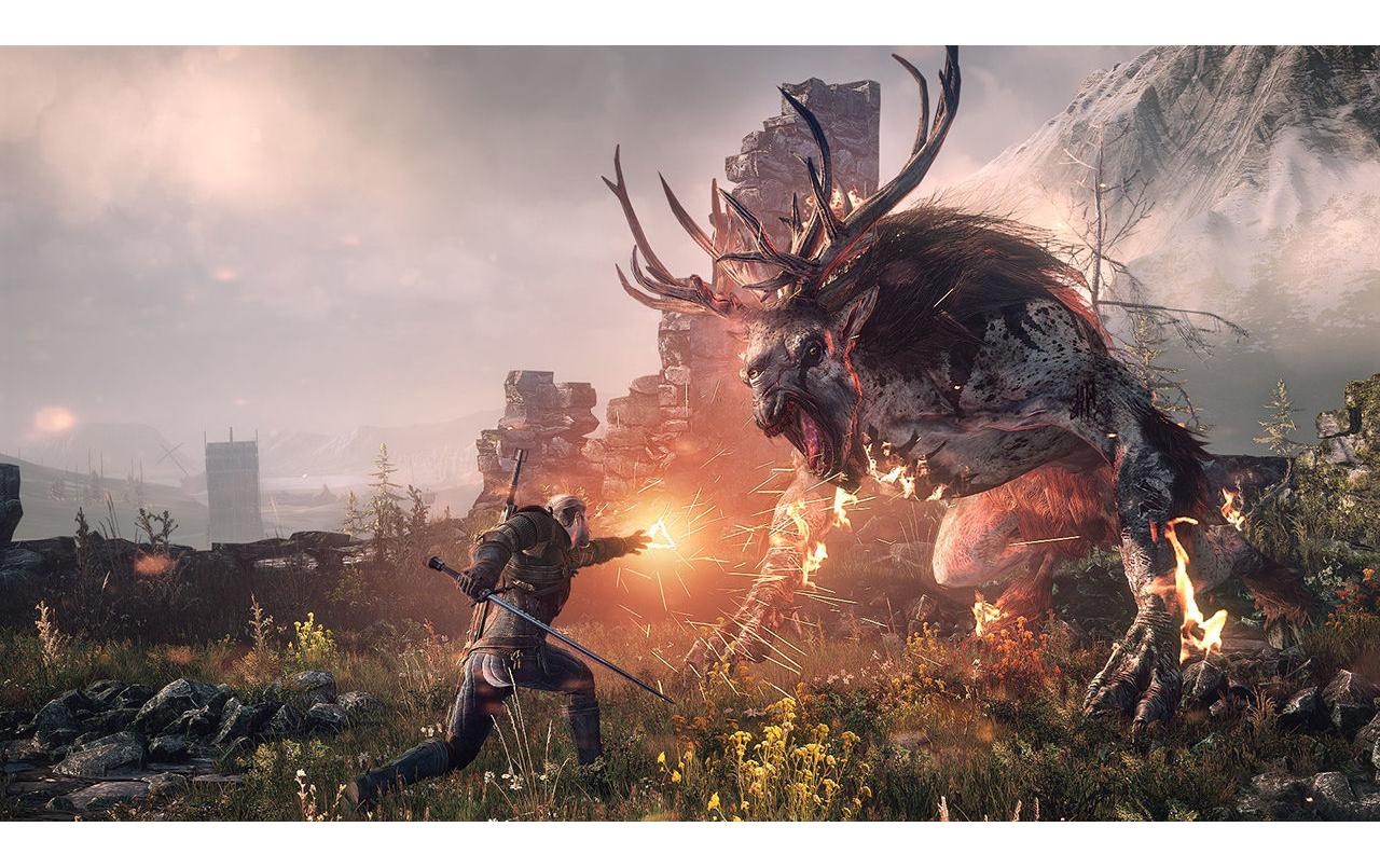 BANDAI NAMCO Spielesoftware »The Witcher 0,125 Wild Hunt, Switch«, Nintendo Switch