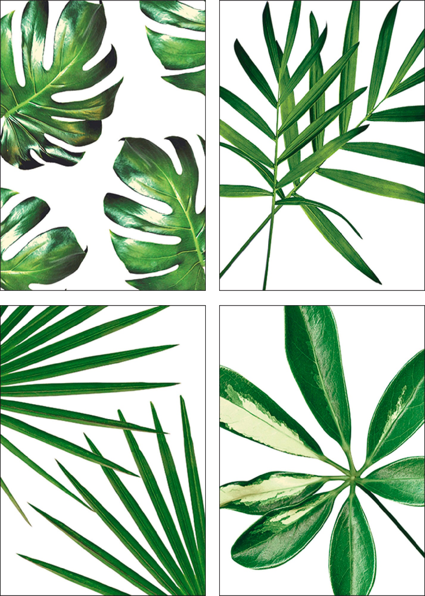 Image of Artland Poster »Blätter«, Blätter, (4 St.), Poster, Wandbild, Bild, Wandposter bei Ackermann Versand Schweiz