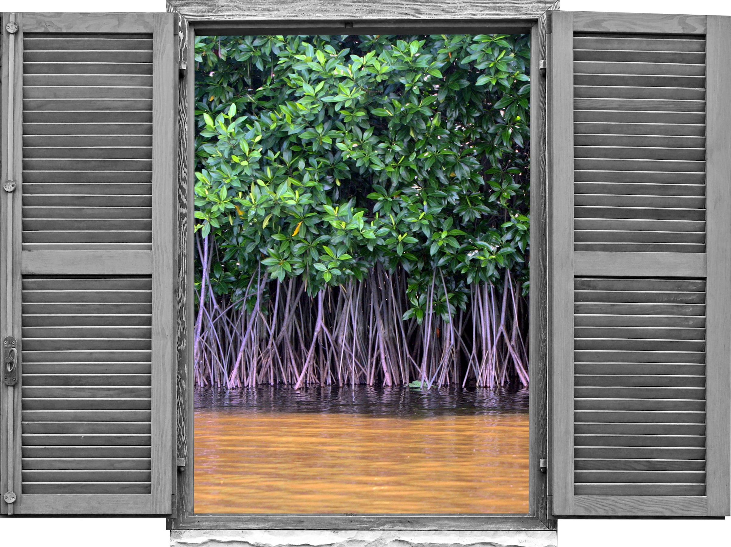 Image of queence Wandtattoo "Bäume im See" Wandsticker, Wandbild, selbstklebend, 3D, Fenster