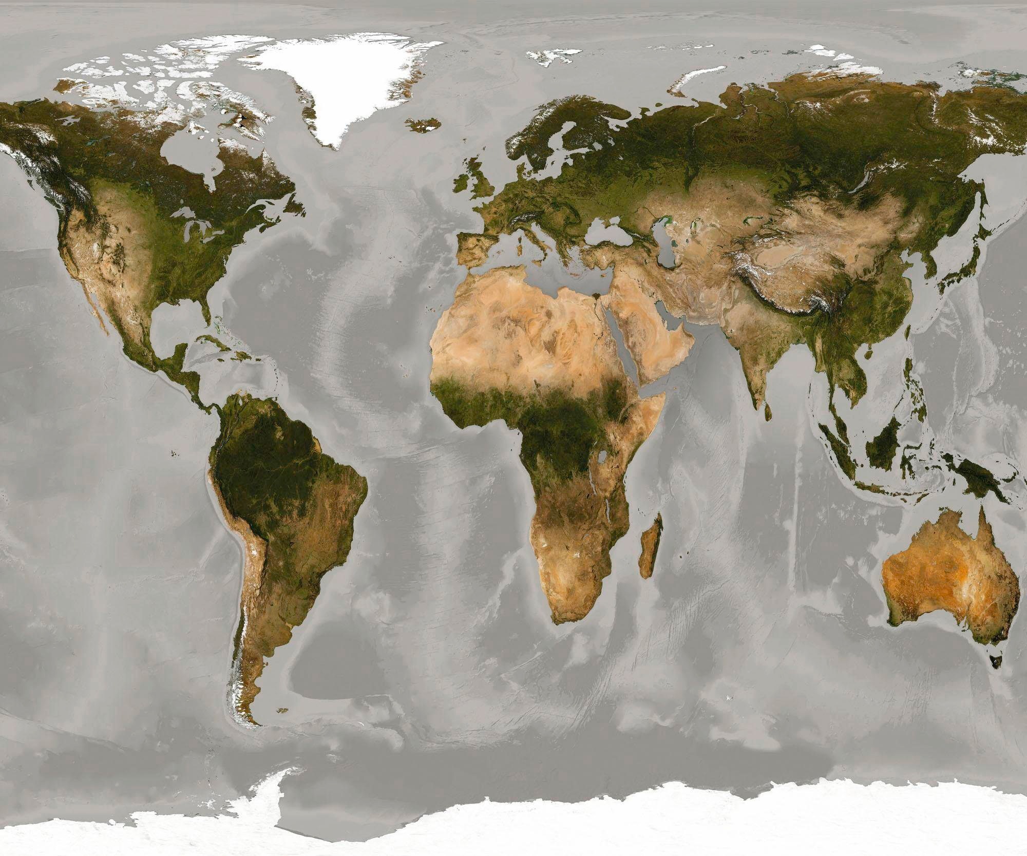 Image of Komar Vliestapete »World"«, naturalistisch bei Ackermann Versand Schweiz
