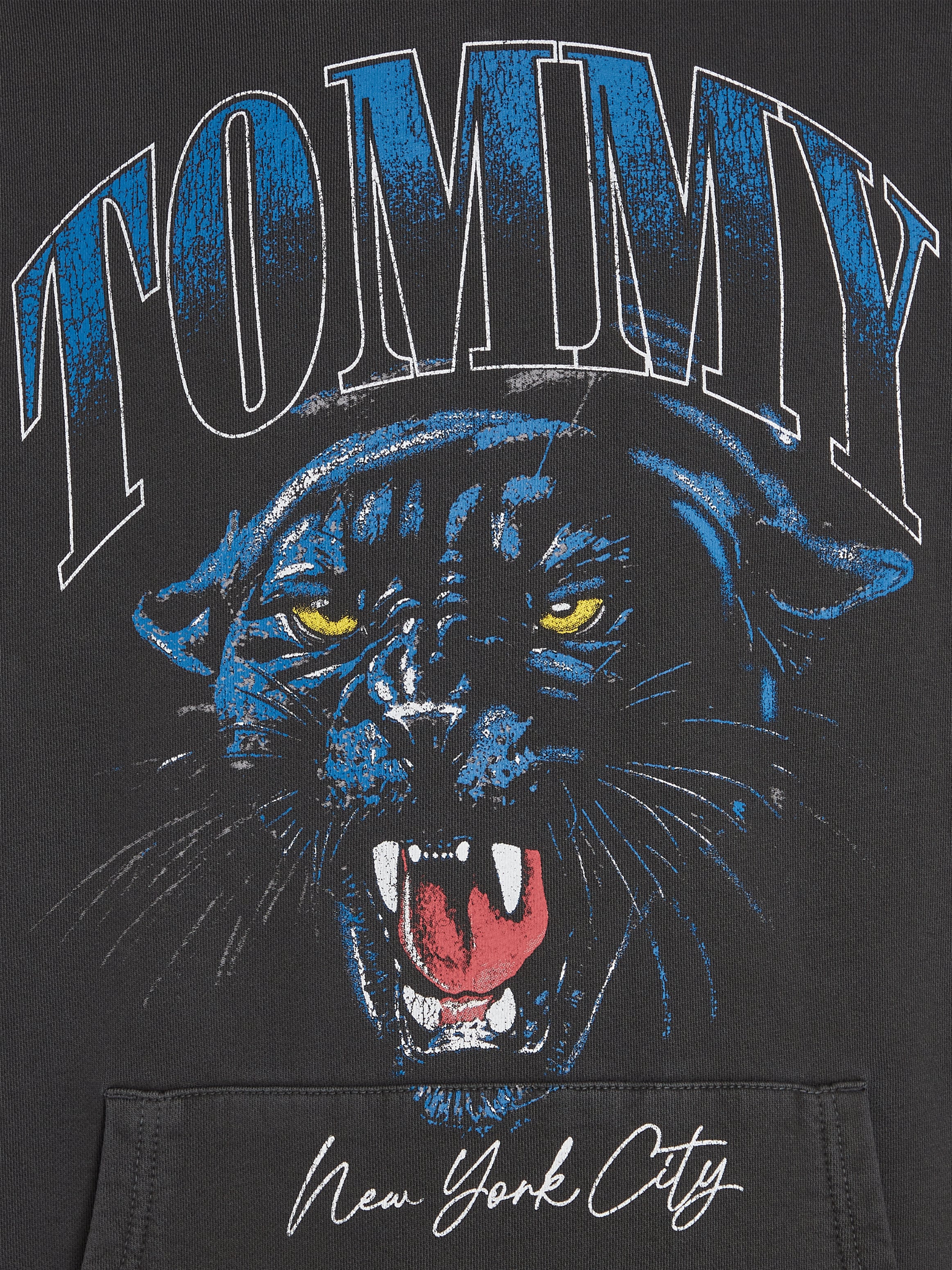 Tommy Jeans Kapuzensweatshirt »TJM REG PANTHER VINTAGE HOODIE«, mit Kordel