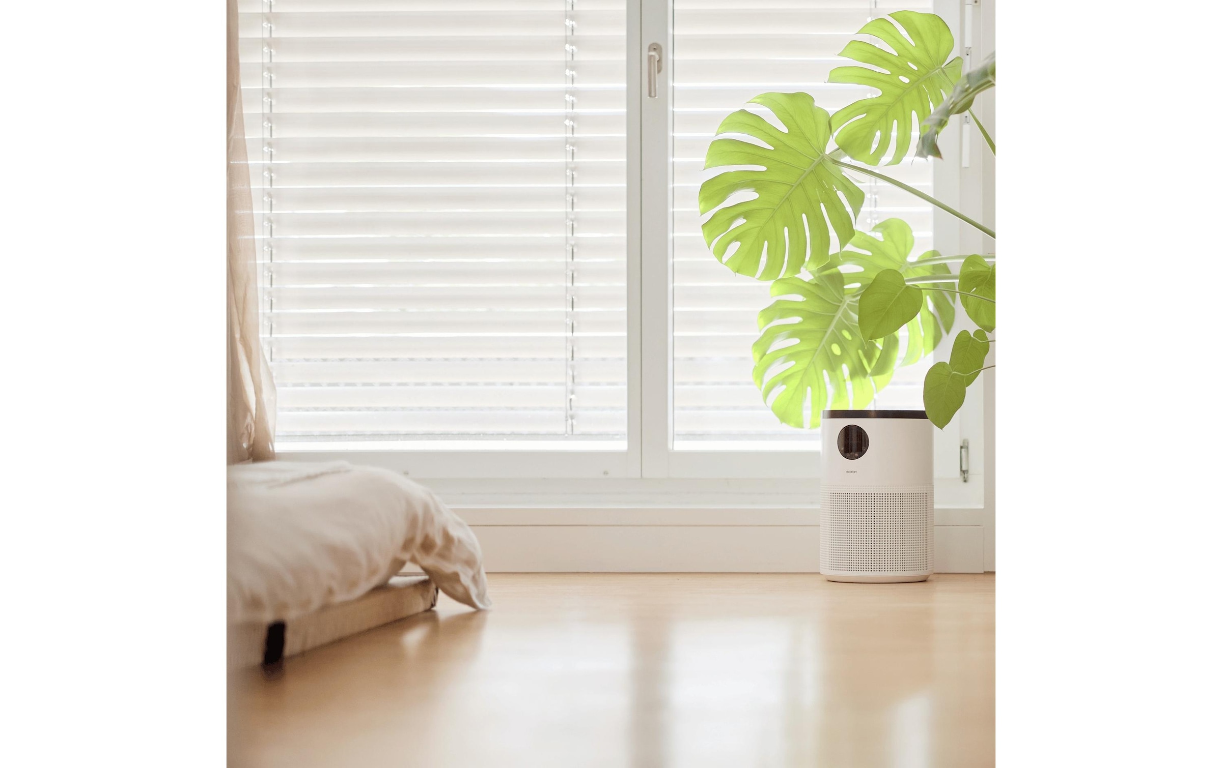 Luftreiniger »Ecofort Luftreiniger ecoQ CleanAir 300«, für 50 m² Räume