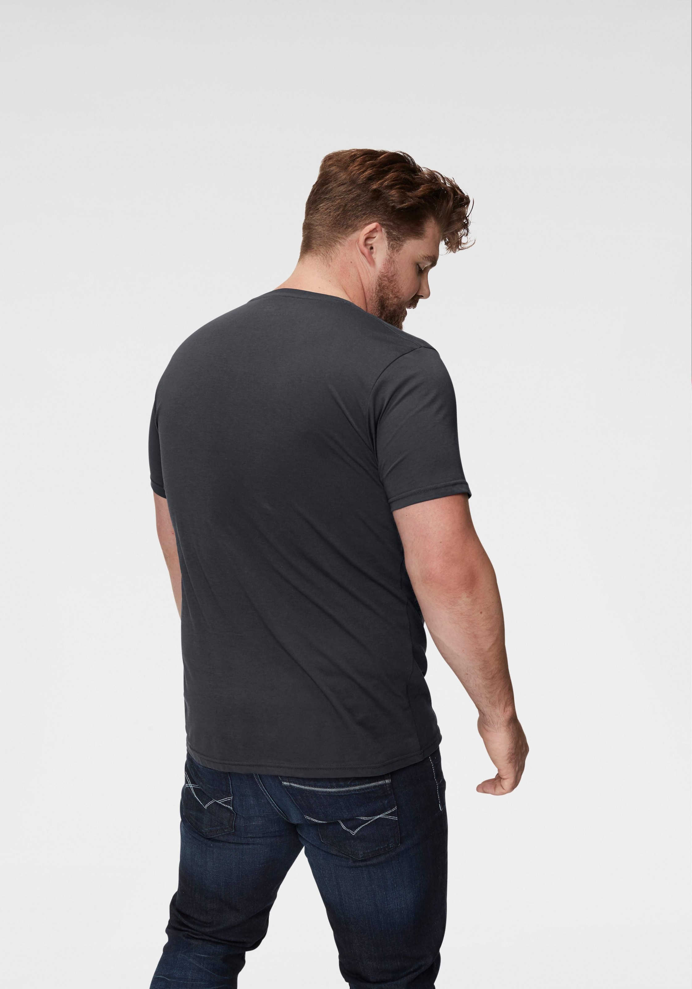 Alpha Industries T-Shirt »Basic T-Shirt«