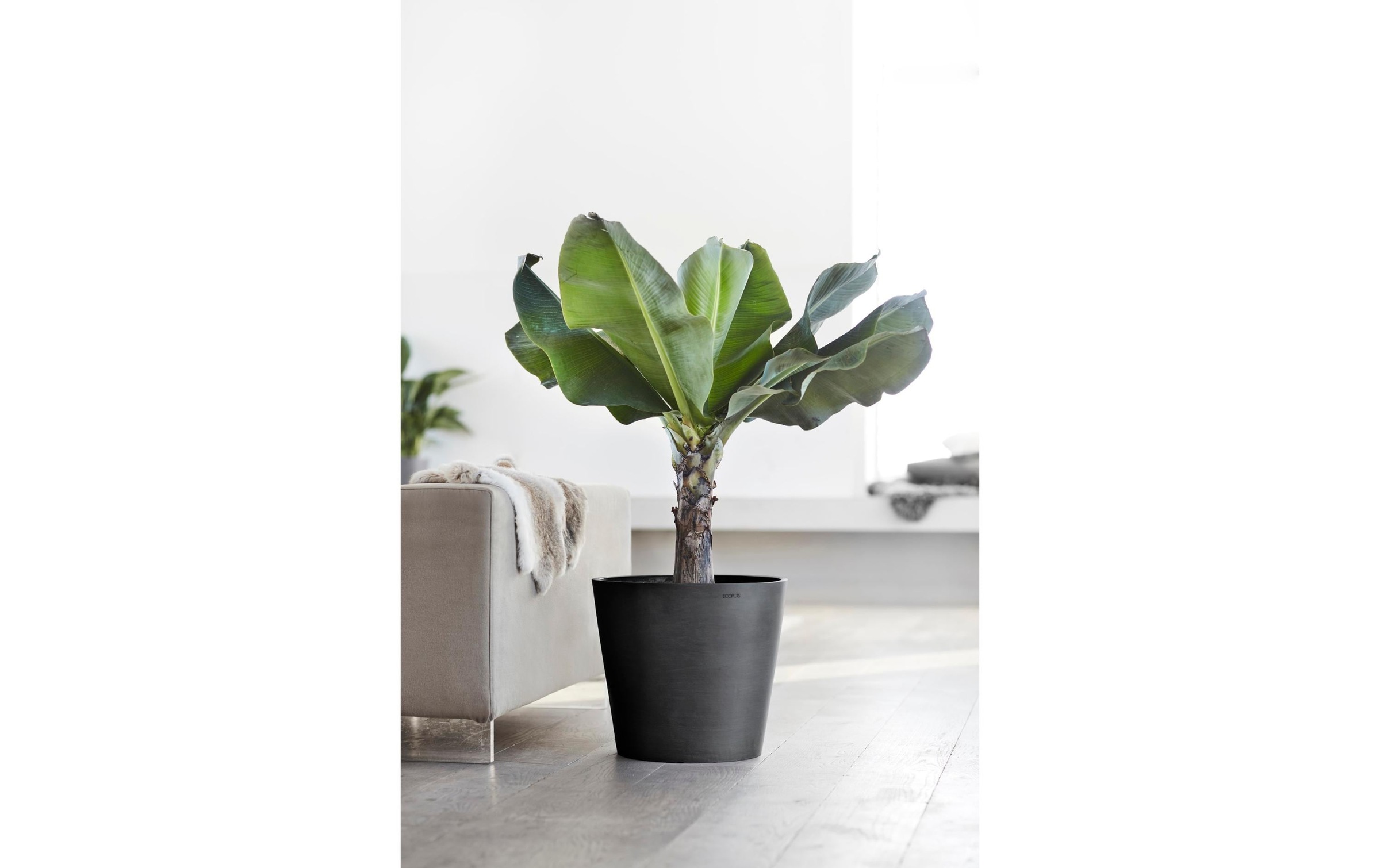 ECOPOTS Pflanzkübel »Amsterdam 40«