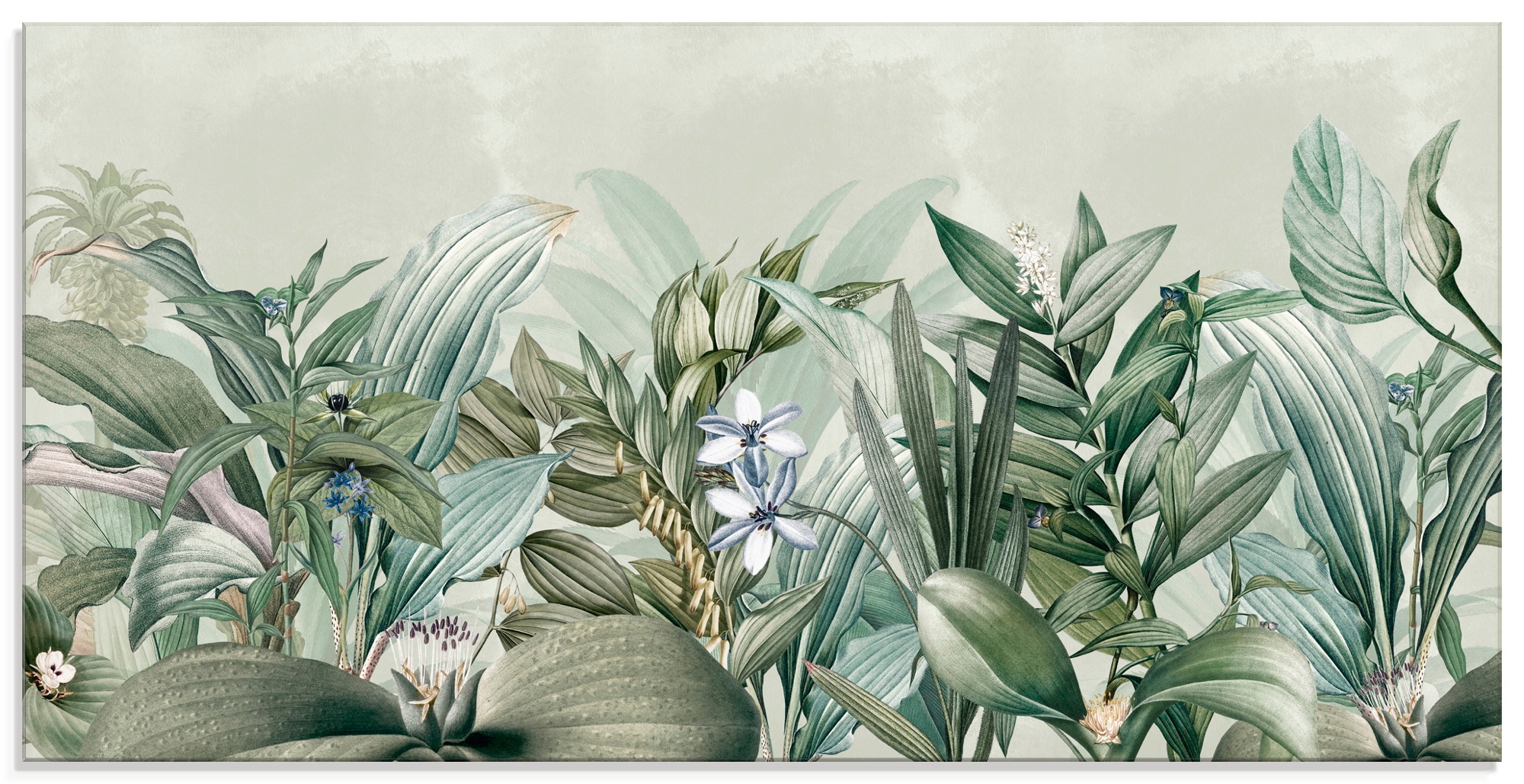 Image of Artland Glasbild "Exotischer Floral Garten Landschaft" Blumenwiese 1 Stk. tlg. in verschiedenen Grössen