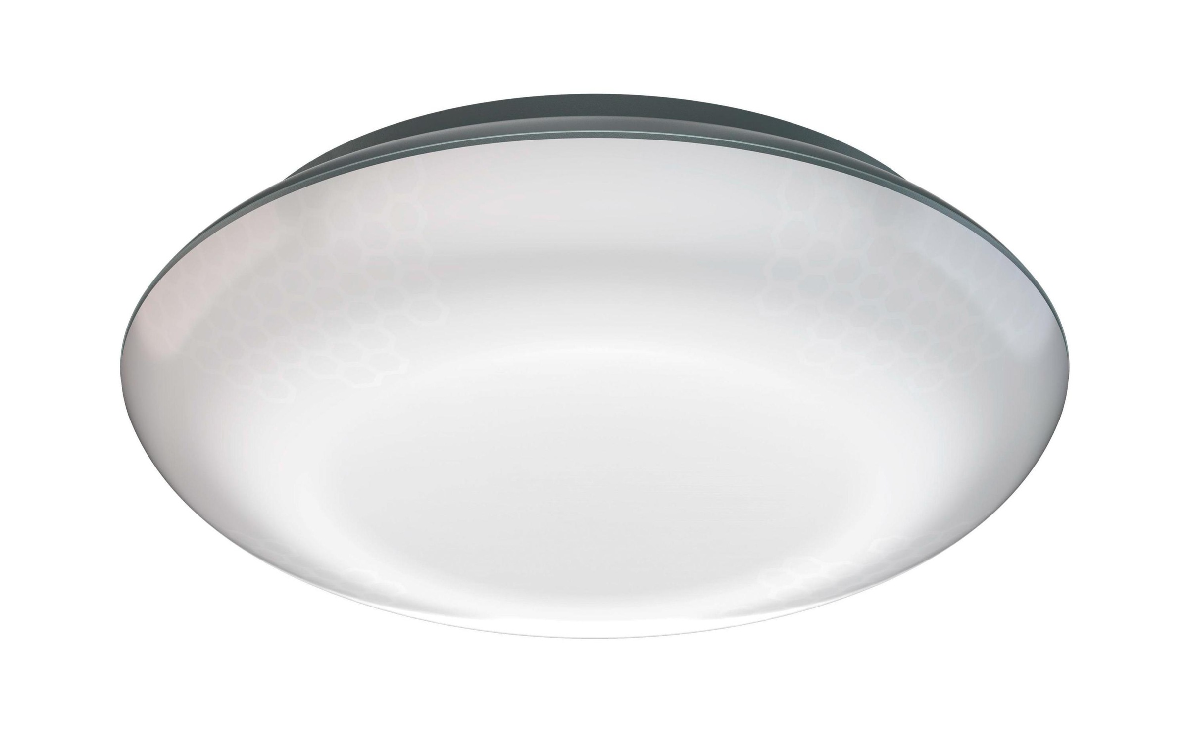 Image of steinel Deckenleuchte »DL Vario Quattro LED Anthrazit« bei Ackermann Versand Schweiz