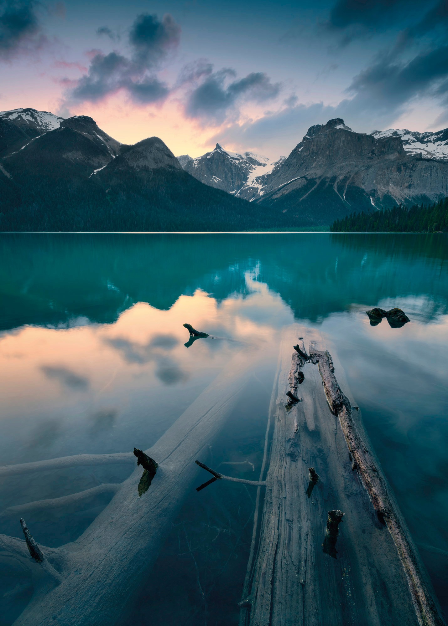 Image of Komar Fototapete »Burning Emerald«, mehrfarbig-natürlich-bedruckt bei Ackermann Versand Schweiz