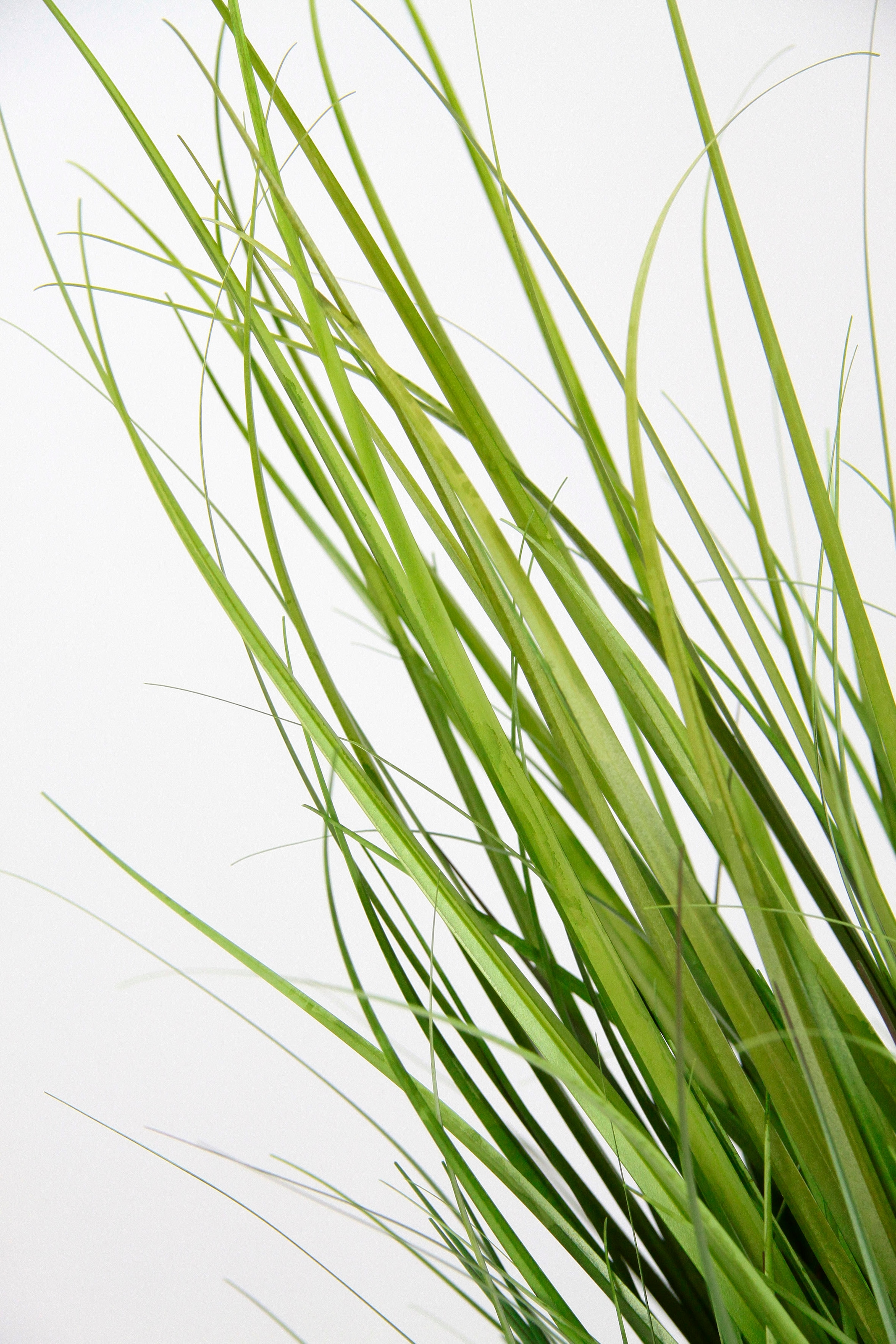 I.GE.A. Kunstpflanze »Grasbusch«, Kunstpflanze
