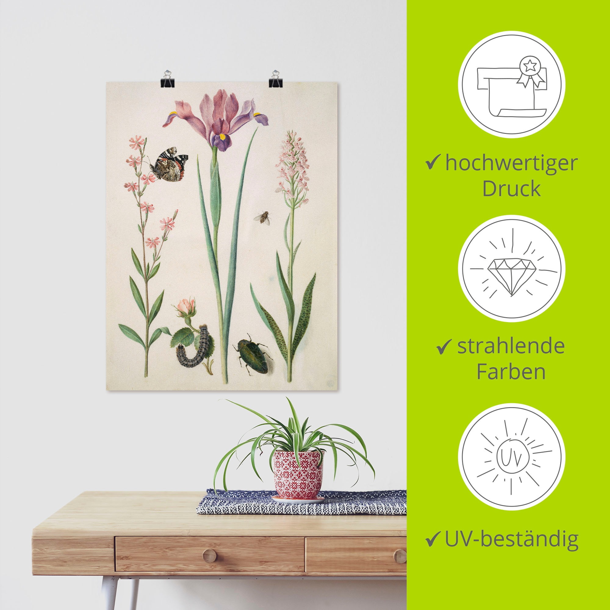 Artland Poster »Admiral, Rose Iris Knabenkraut.« Pflanzen 1 Stk. tlg. ohne Rahmen
