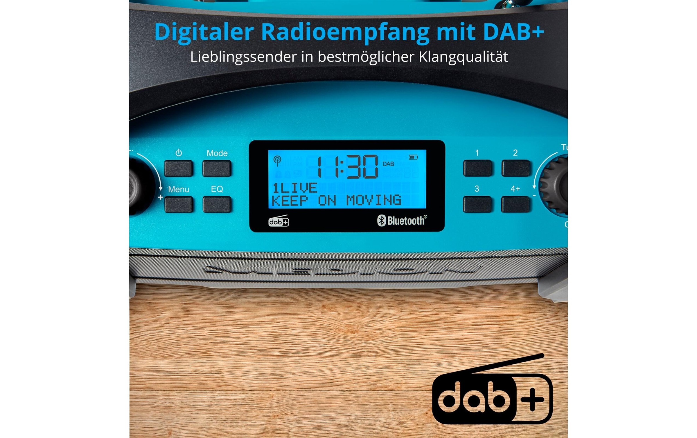 Medion® Baustellenradio »LIFE E66050 Blau«, (Bluetooth Digitalradio (DAB+)-FM-Tuner)