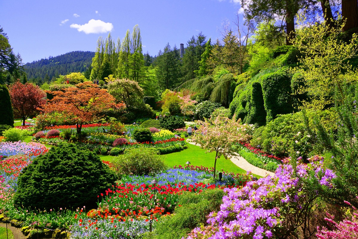 Image of Papermoon Fototapete "Butchart Gardens"