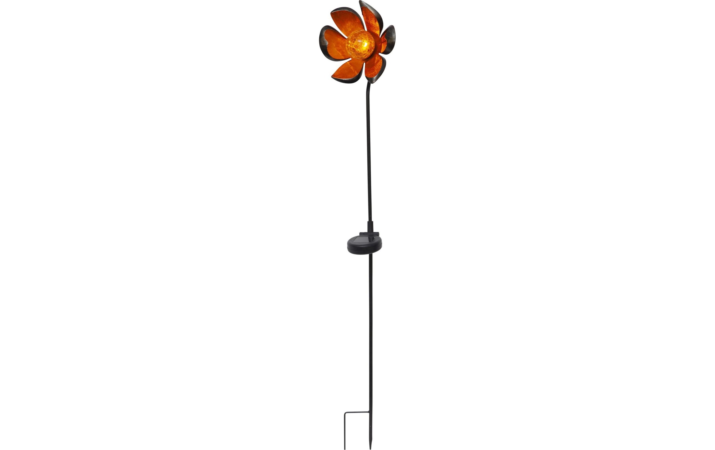 STAR TRADING Gartenleuchte »Solar Meli« kaufen
