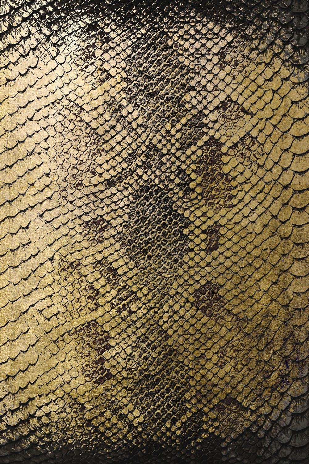 Image of Leonique Acrylglasbild »Schuppen« bei Ackermann Versand Schweiz