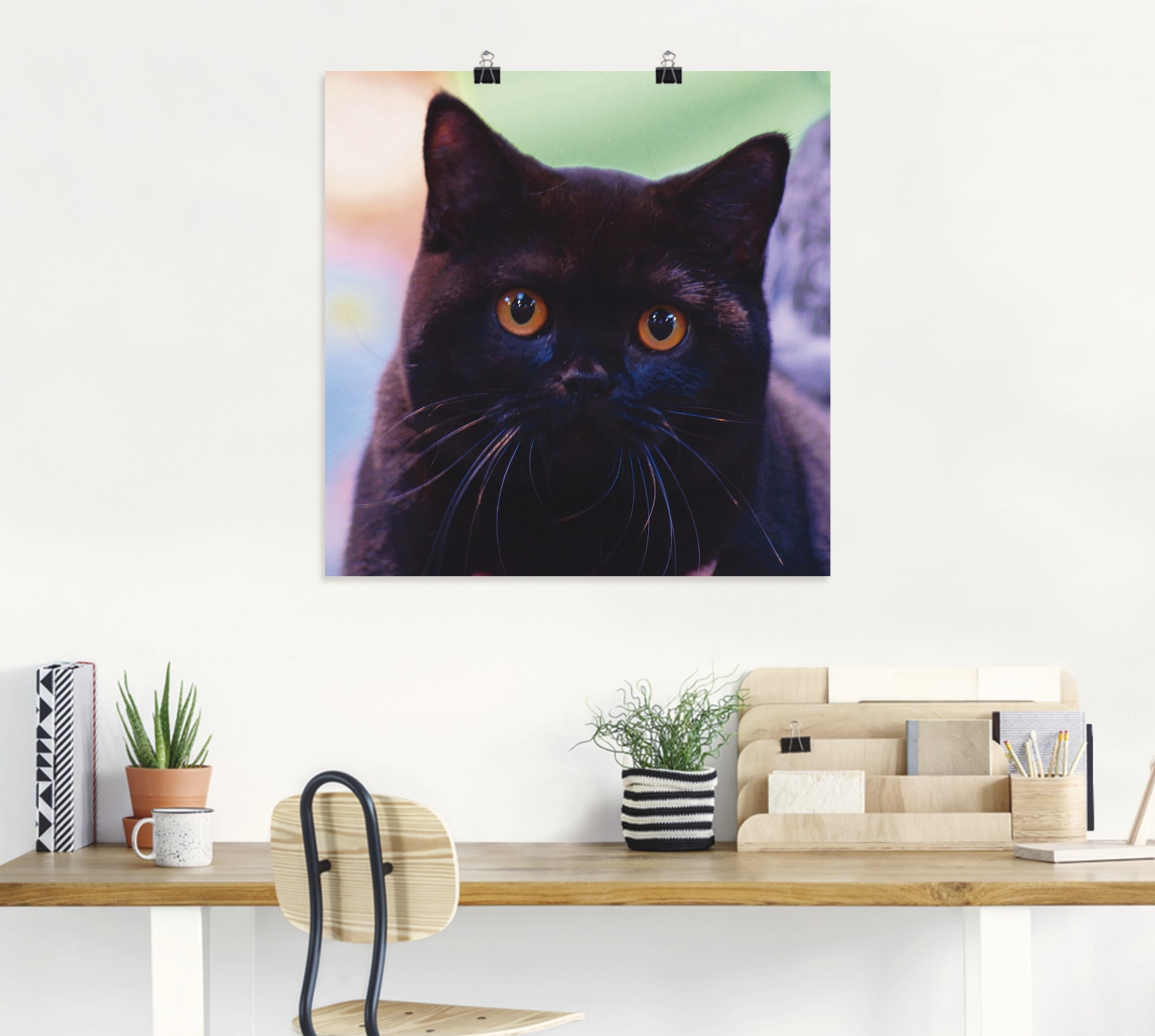 Artland Wandbild »Schwarze Britisch Kurzhaarkatze«, Haustiere, (1 St.), als Poster in verschied. Grössen