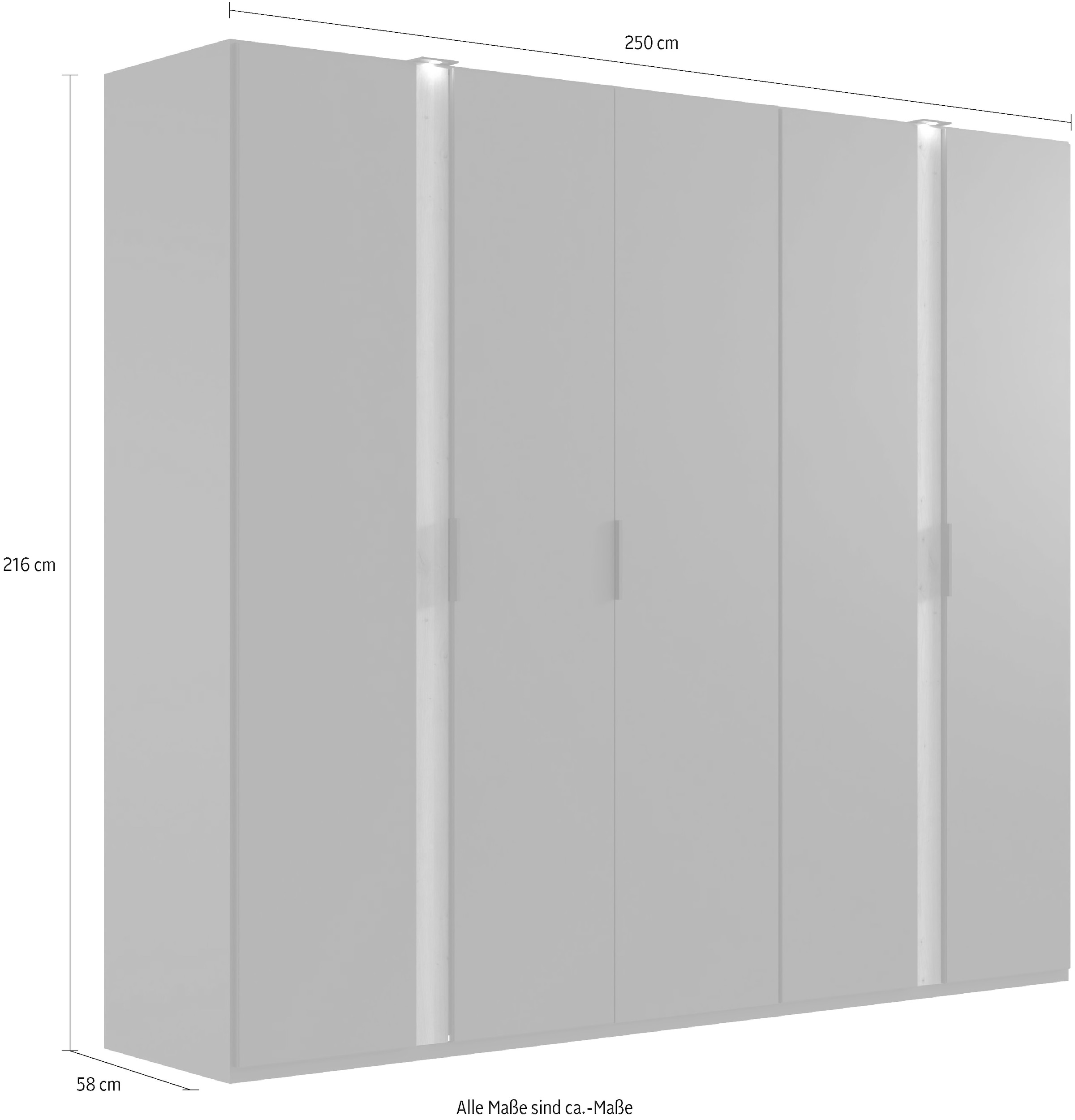 Wimex Drehtürenschrank »Rimini by fresh to go, Kleiderschrank mit Spiegel, Metallgriffe«, inklusive LED Beleuchtung, B/T/H 250/58/216cm, weiss oder graphit
