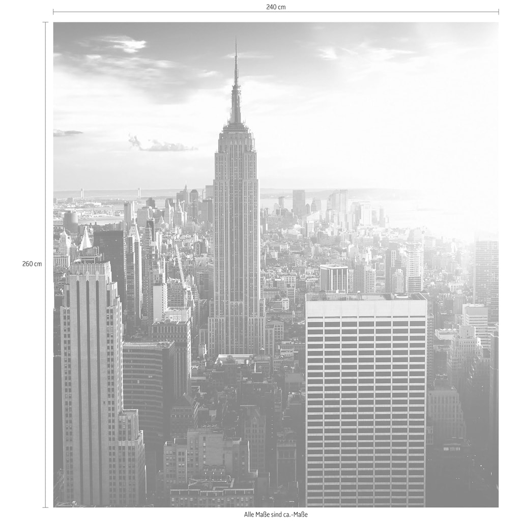 Wall-Art Vliestapete »The Empire State Building«