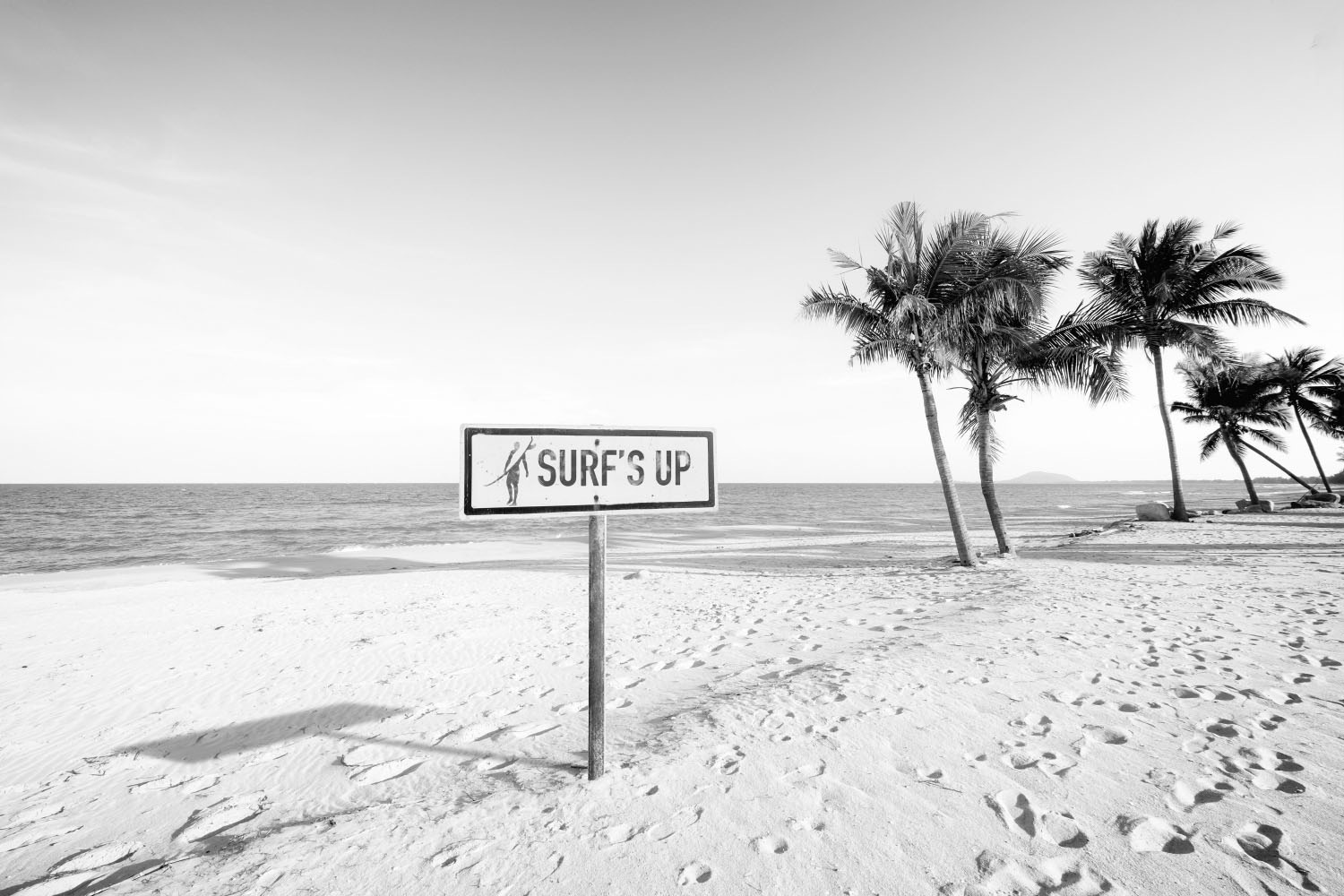 Image of queence Acrylglasbild "Surfs up Strand" Meer Meer Bilder Palmen Schwarz-Weiss Strand Strandbilder Fine Art-Print in Galeriequalität