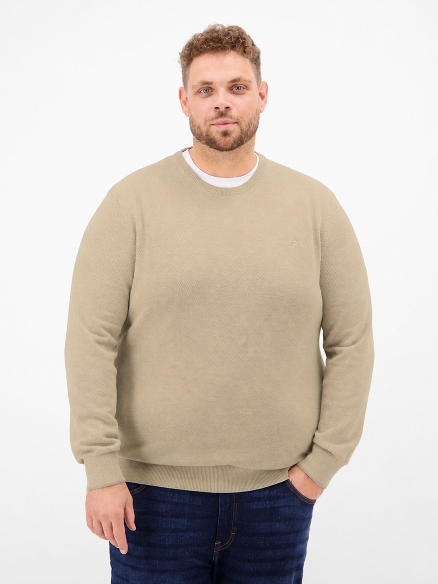 Image of LERROS Strickpullover "Strickpullover aus Baumwolle in 2-Tone-Optik, grosse Grössen"