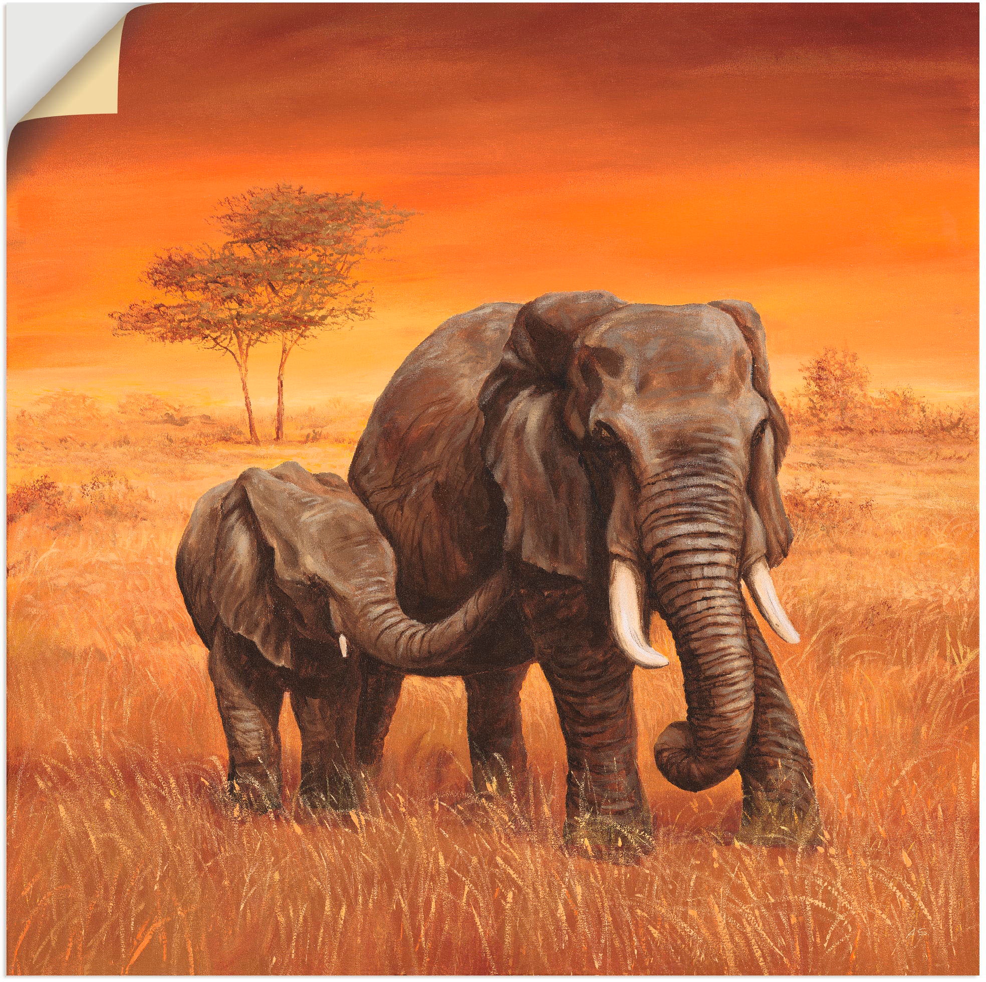 Artland Wandbild »Elefanten II«, Wildtiere, (1 St.), als Alubild,  Leinwandbild, Wandaufkleber oder Poster in versch. Grössen bequem kaufen