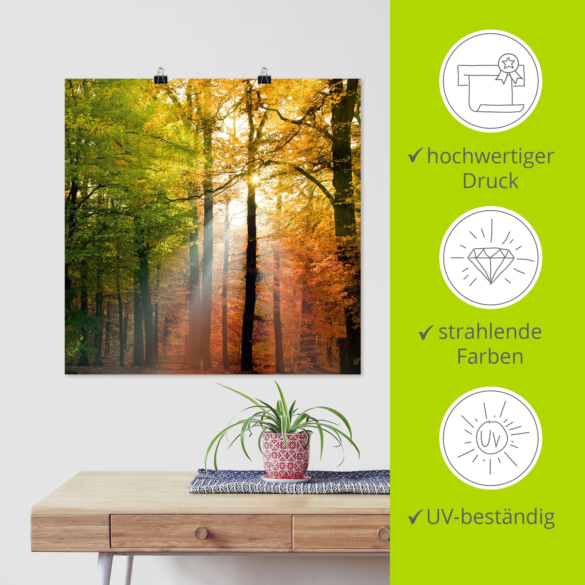 Artland Wandbild »Schöner Herbsttag 2«, Wald, (1 St.), als Alubild, Outdoorbild, Leinwandbild, Poster in verschied. Grössen