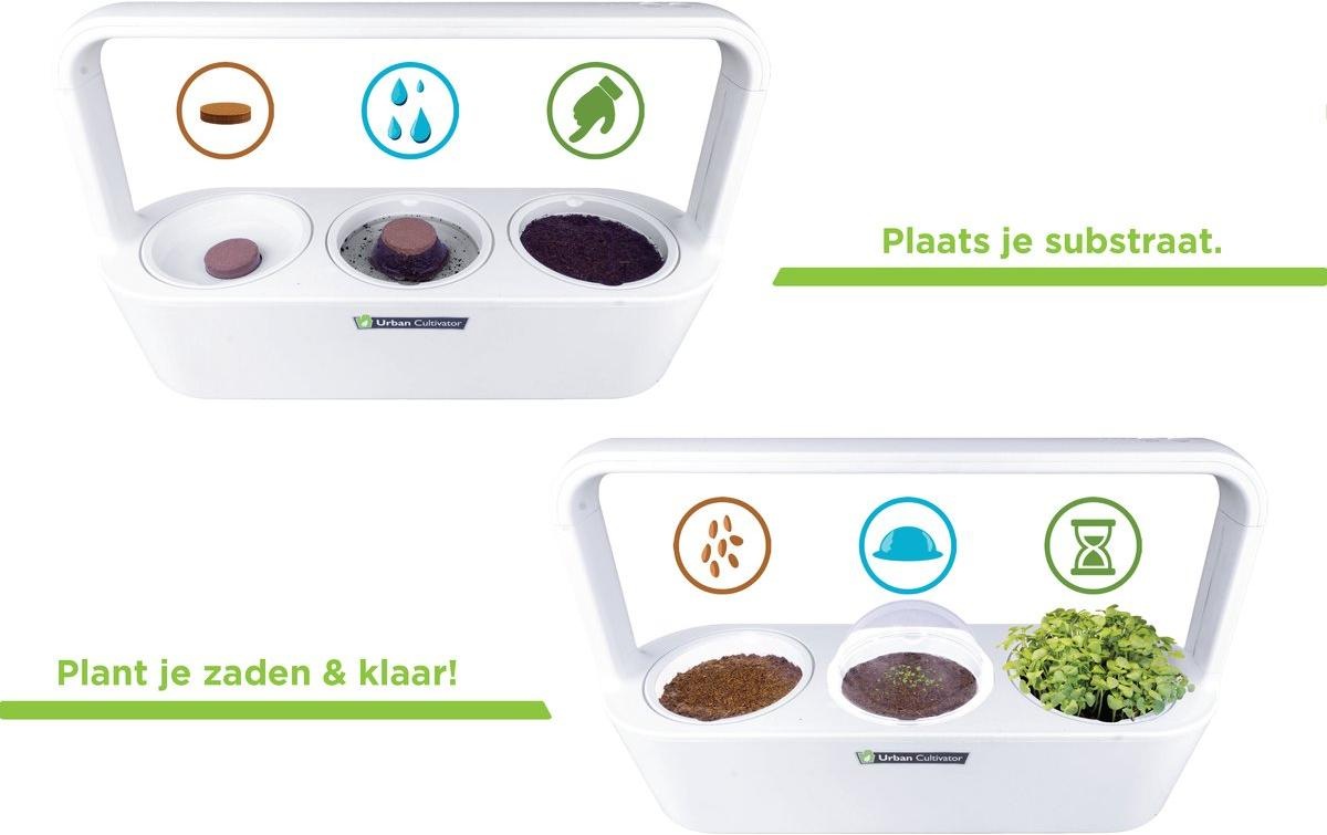 Click and Grow Pflanzschale »MicroBuddy, 38 cm« Kompakter Indoor-Kultivator für frische Microgreens