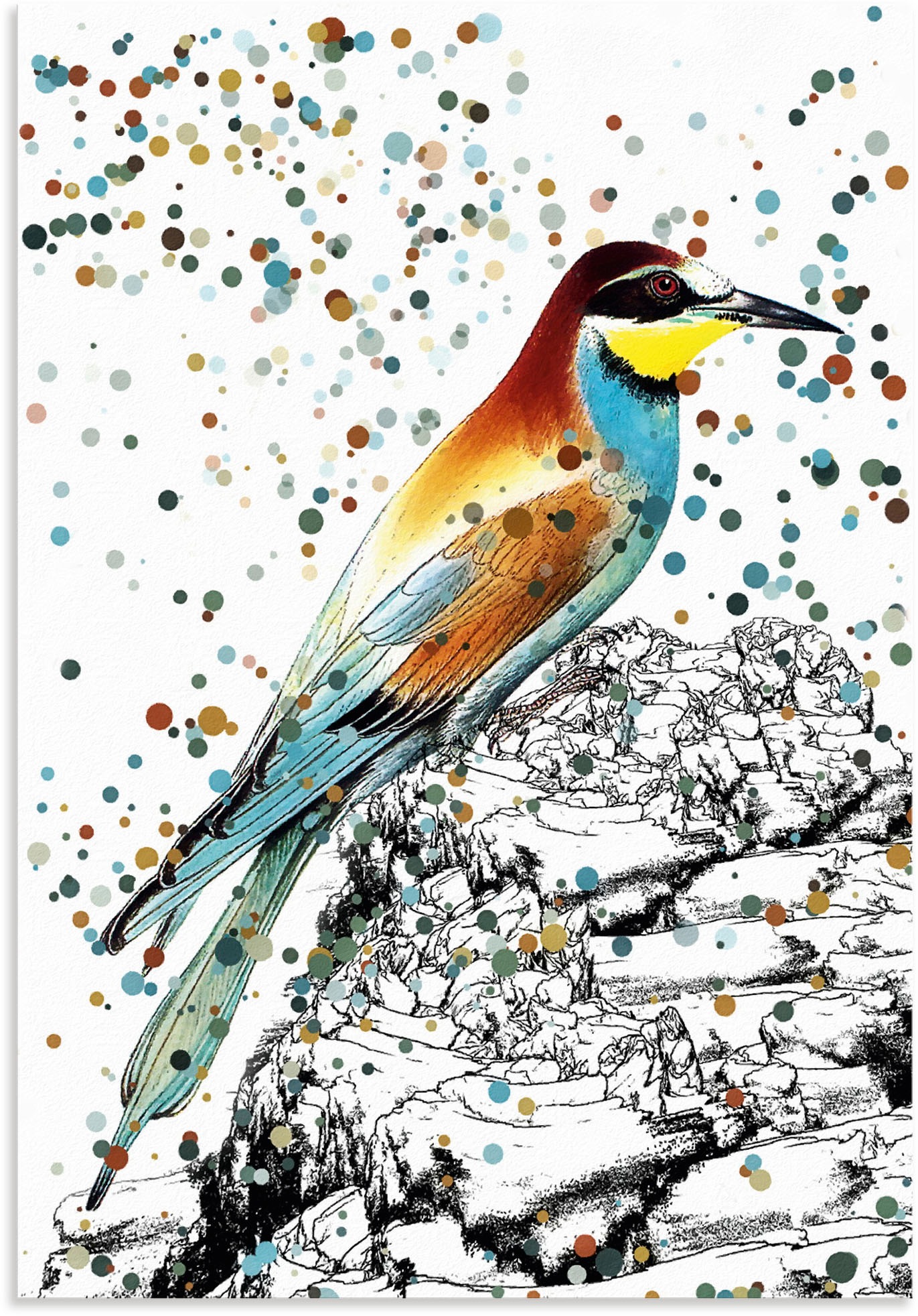 Image of Artland Wandbild »Bienenfresser«, Vogelbilder, (1 St.), in vielen Grössen & Produktarten - Alubild / Outdoorbild für den Aussenbereich, Leinwandbild, Poster, Wandaufkleber / Wandtattoo auch für Badezimmer geeignet bei Ackermann Versand Schweiz