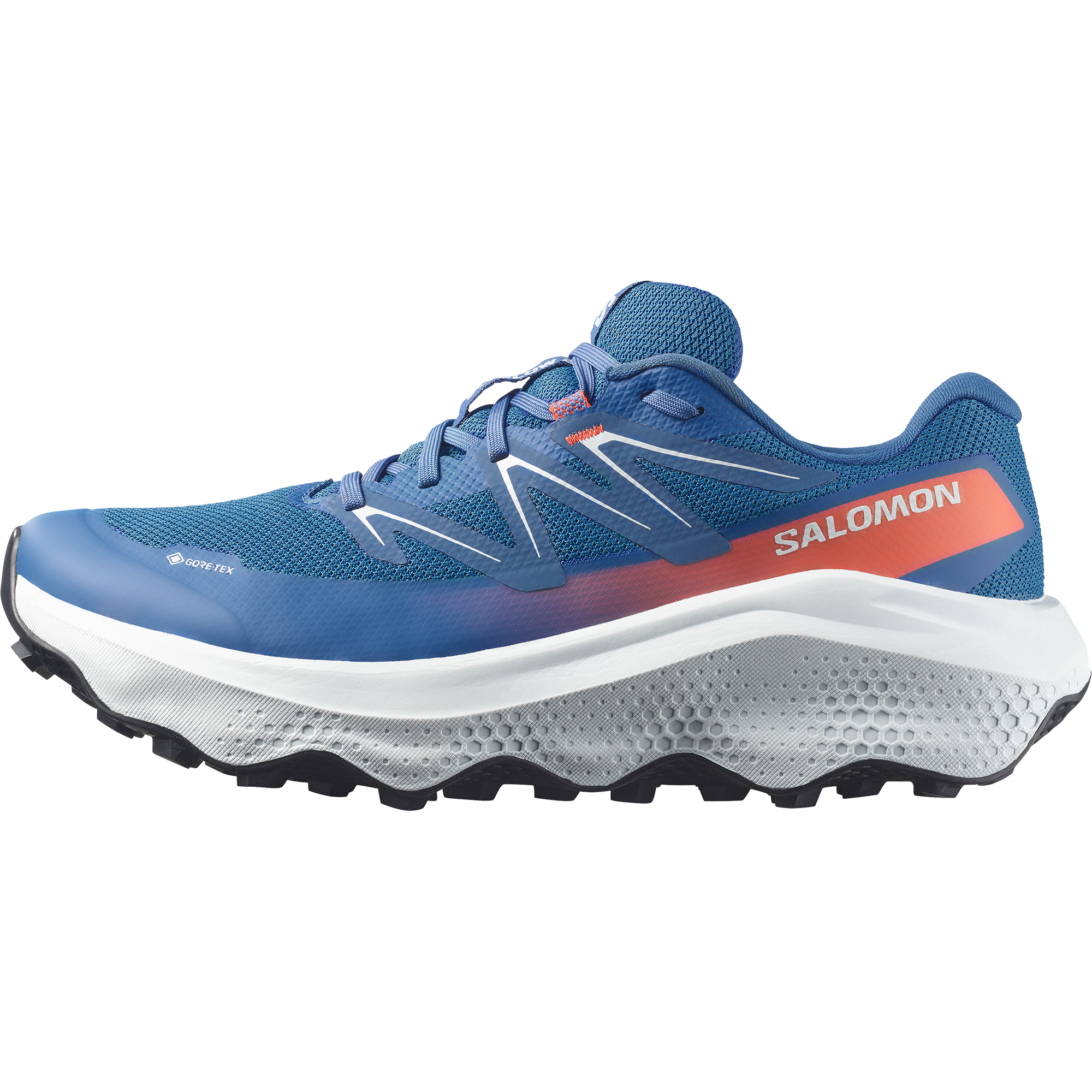 Salomon Chaussures de trail »ULTRA FLOW 2 GTX«  étanche