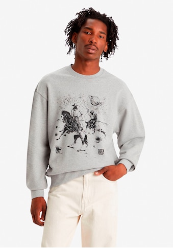 Sweatshirt »RELAXD GRAPHIC CREW GREYS«