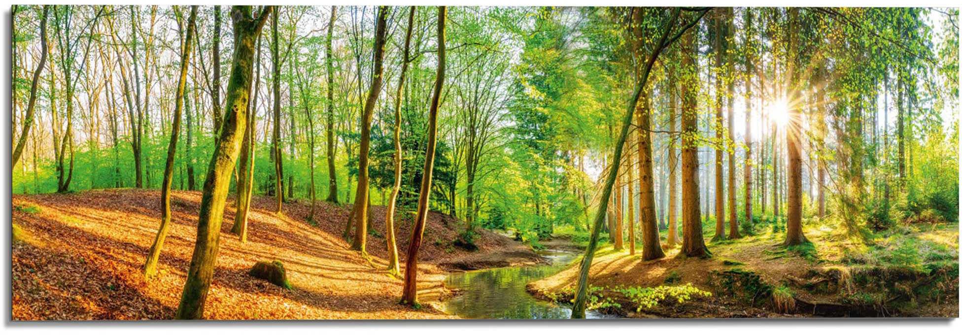 Image of Reinders! Wandbild »Sonniger Wald« bei Ackermann Versand Schweiz