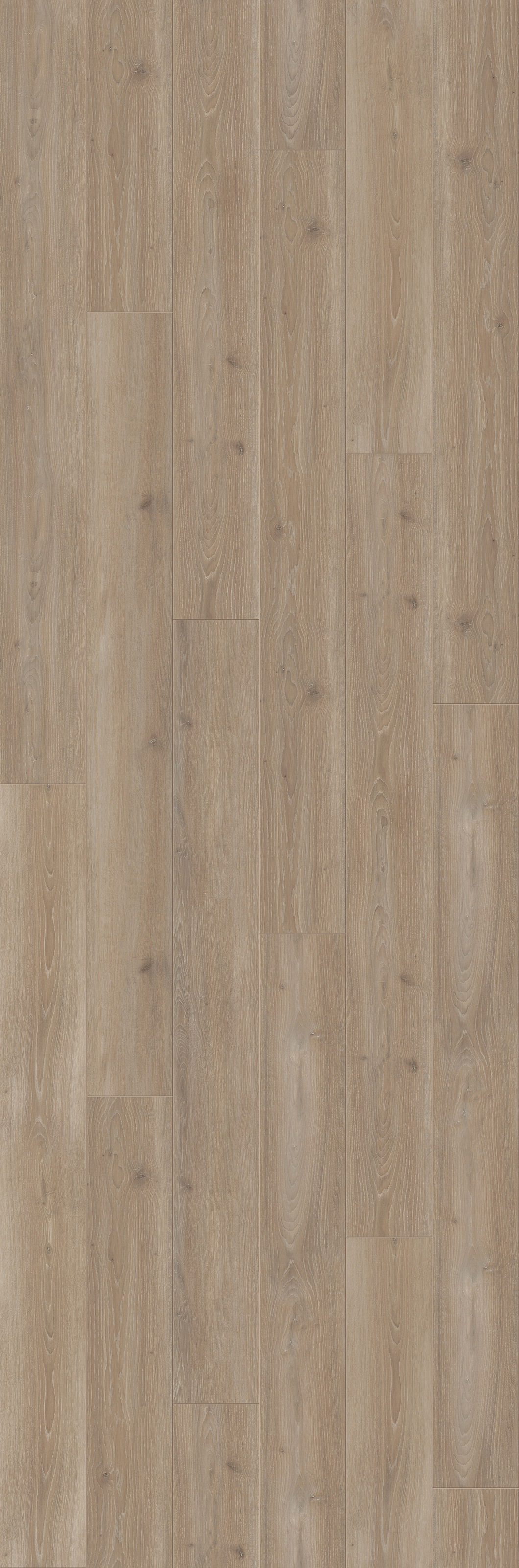Image of PARADOR Laminat »Trendtime 6 - Eiche Skyline perlgrau«, (Packung), spezielle Trägerplatte, 2200 x 243 mm, Stärke: 9 mm bei Ackermann Versand Schweiz