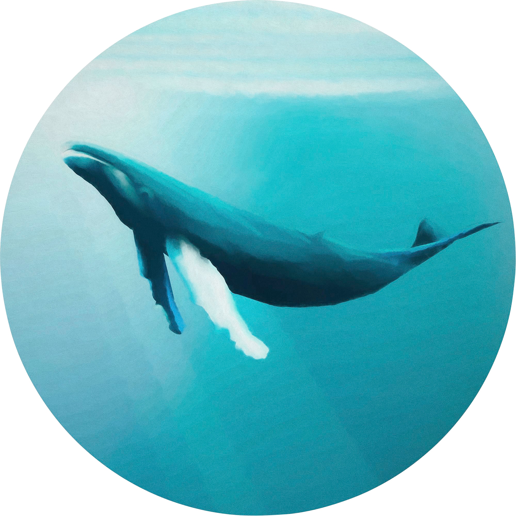 Image of Komar Fototapete "Vlies selbstklebend - Whale Watching - Grösse 125 x 125 cm" bedruckt glatt Wohnzimmer, Schlafzimmer