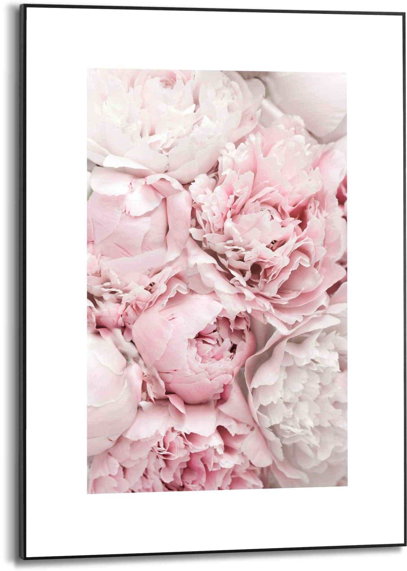Image of Reinders Bild "Gerahmtes Bild Pfingstrosen Blumen - Romantisch" Blumen 1 Stk. tlg.