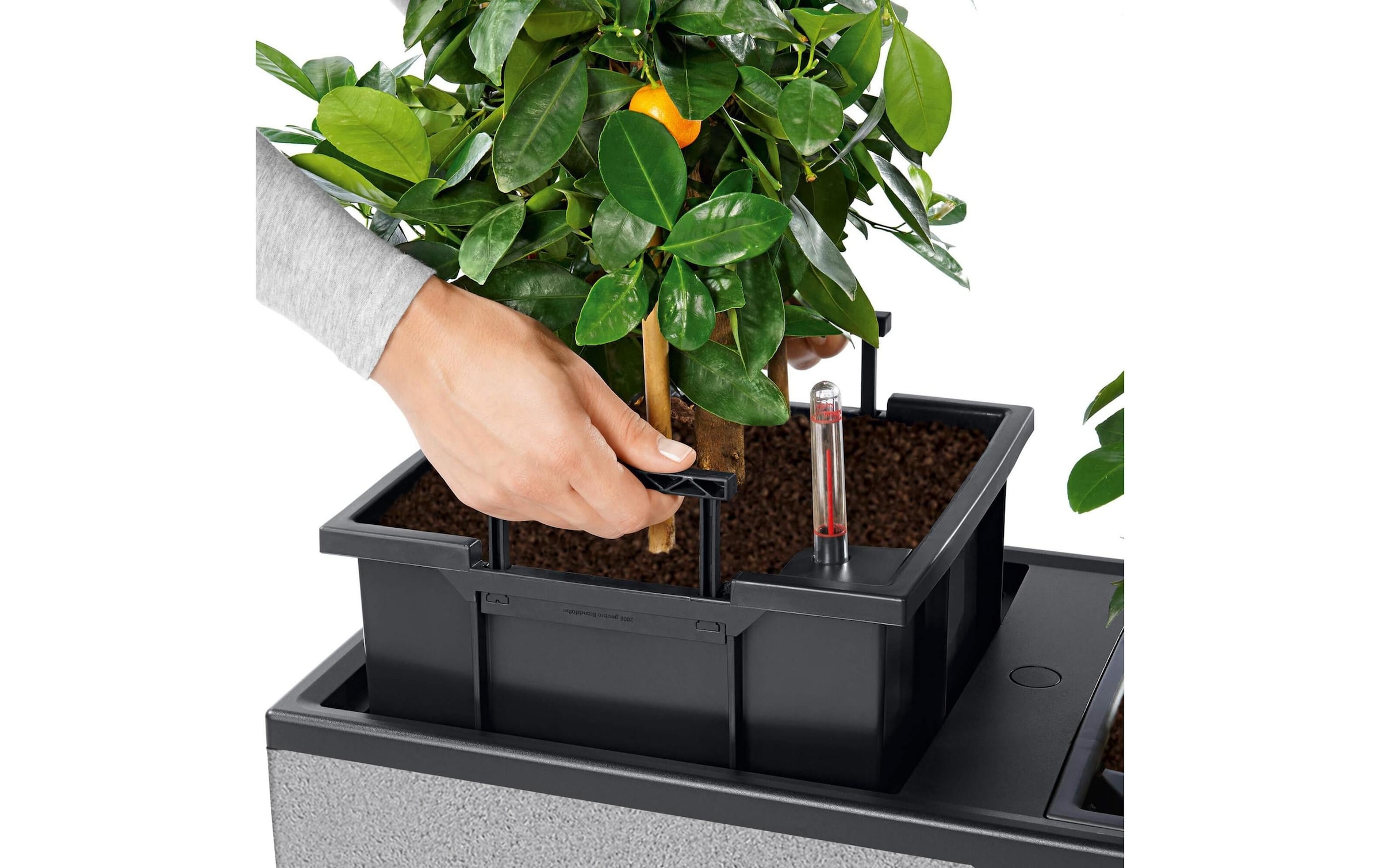   Bac à fleurs »Lechuza TRIO Stone 30«