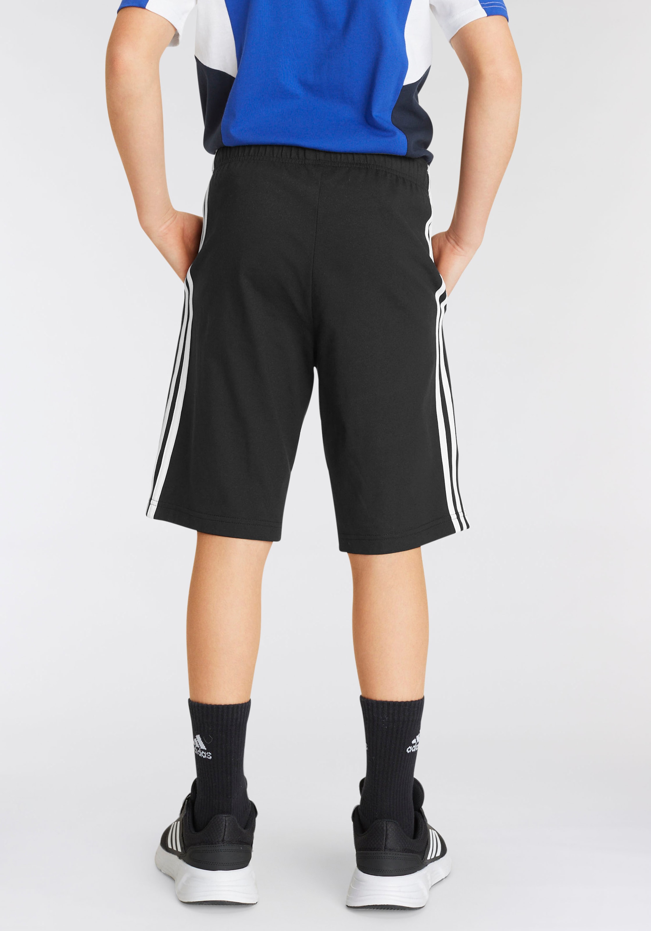 adidas Sportswear Shorts »ESSENTIALS 3-STREIFEN KNIT«, (1 tlg.)