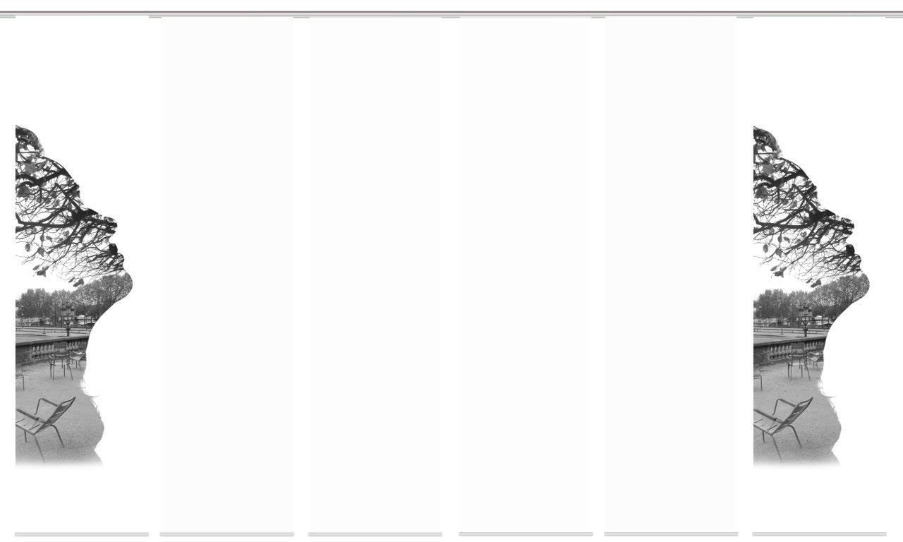 Image of HOME WOHNIDEEN Schiebegardine »FALUNA 6er SET«, (6 St.), Dekostoff-Seidenoptik, Digital bedruckt bei Ackermann Versand Schweiz