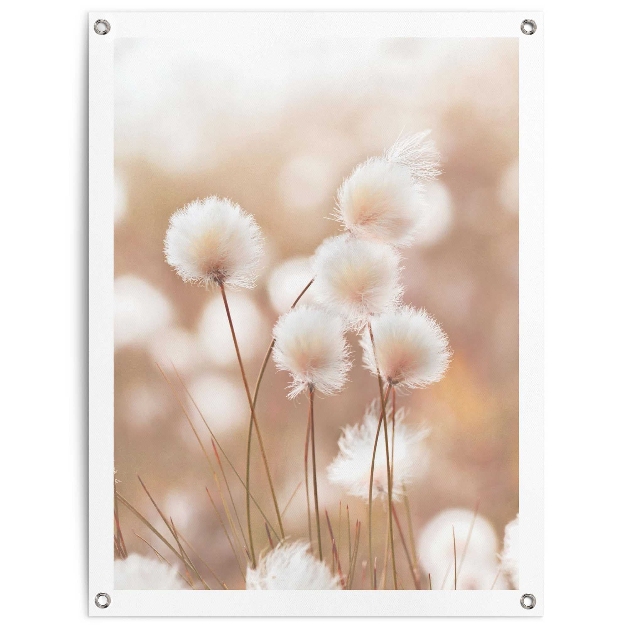 Image of Reinders Poster "Baumwollzweig" Garten - Trockenblume - Beige - Leinwand - Blumen und Pflanzen