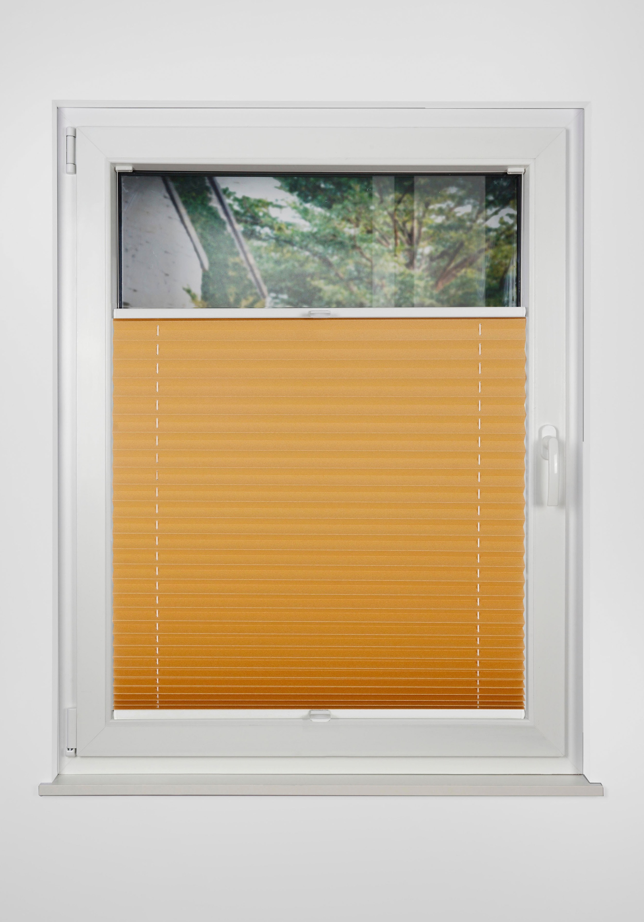 Image of mydeco Plissee »Thermo Premium Blackout«, verdunkelnd, mit Bohren, verspannt bei Ackermann Versand Schweiz