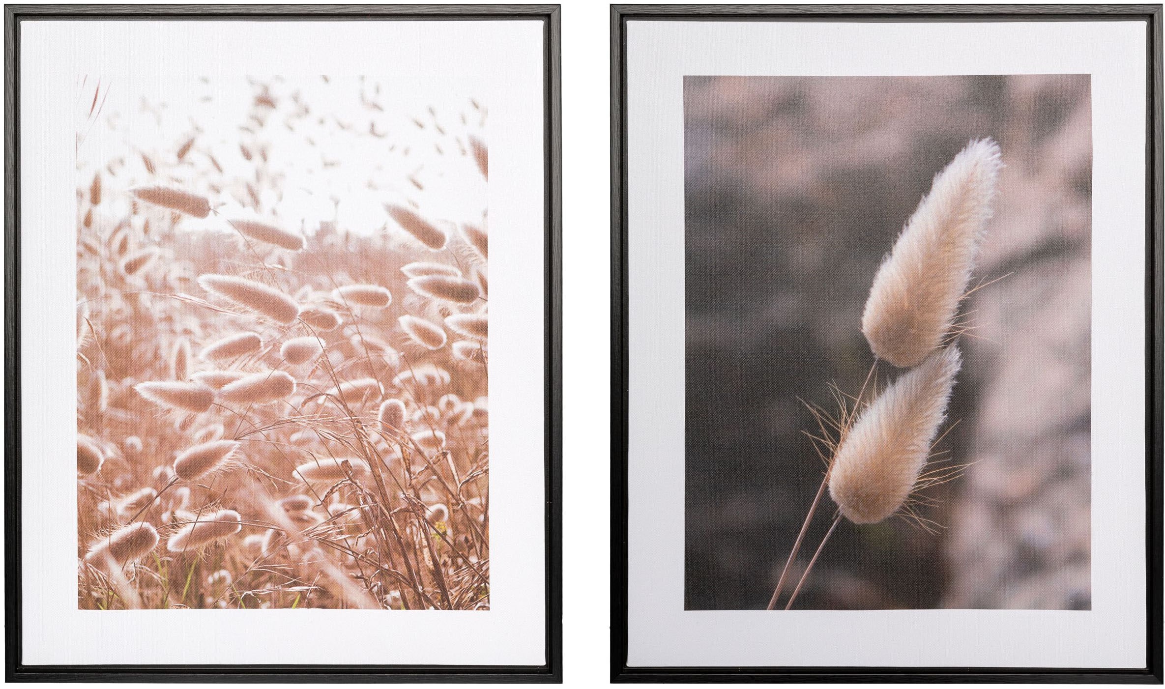 Image of Creativ home Bild mit Rahmen "Schilf" 2 Stk. tlg. auf Canvas-Leinwand