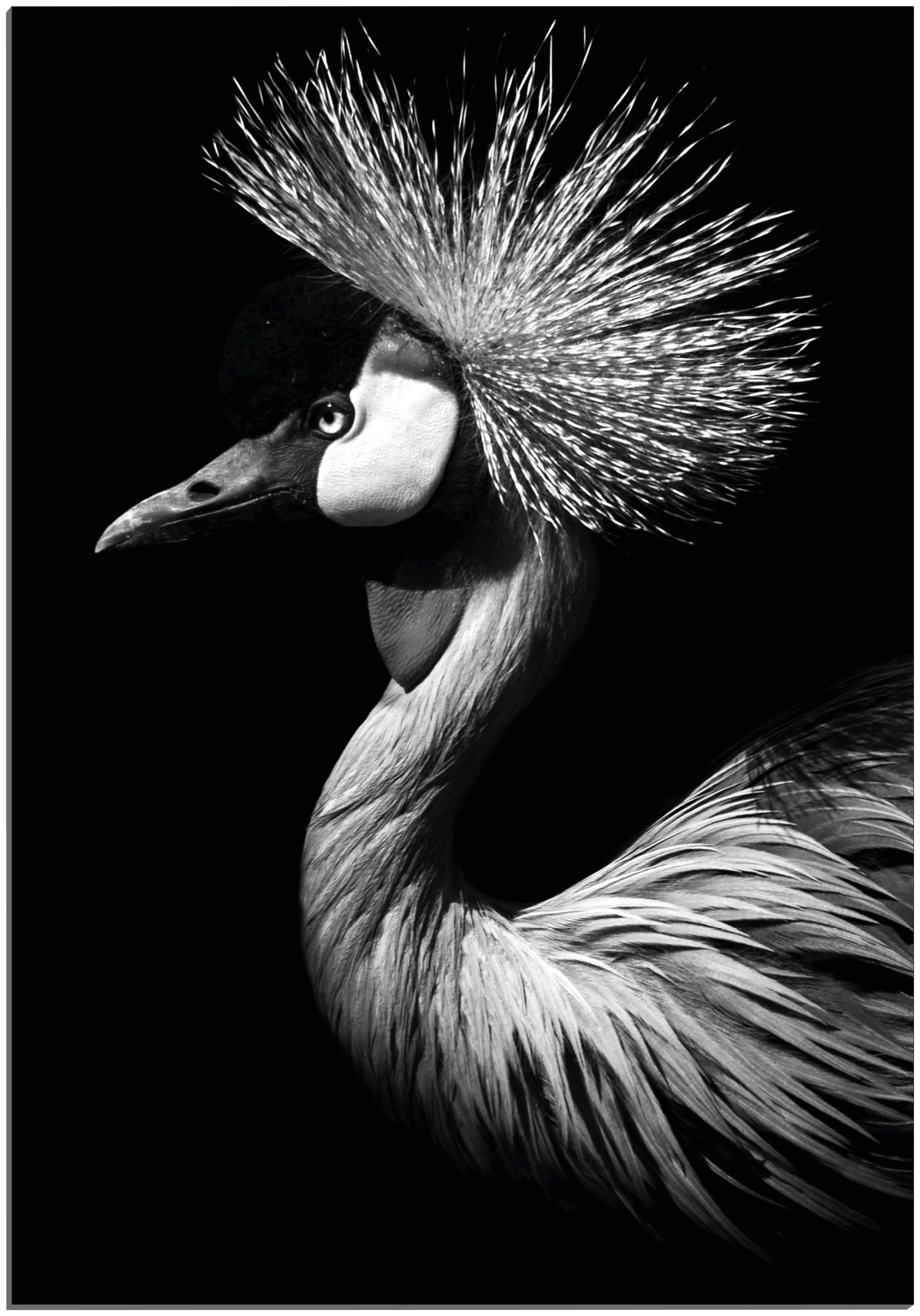 Image of MySpotti Alu-Dibond-Druck »Artfix Krios«, inkl. 3D-Magic Befestigungsset bei Ackermann Versand Schweiz