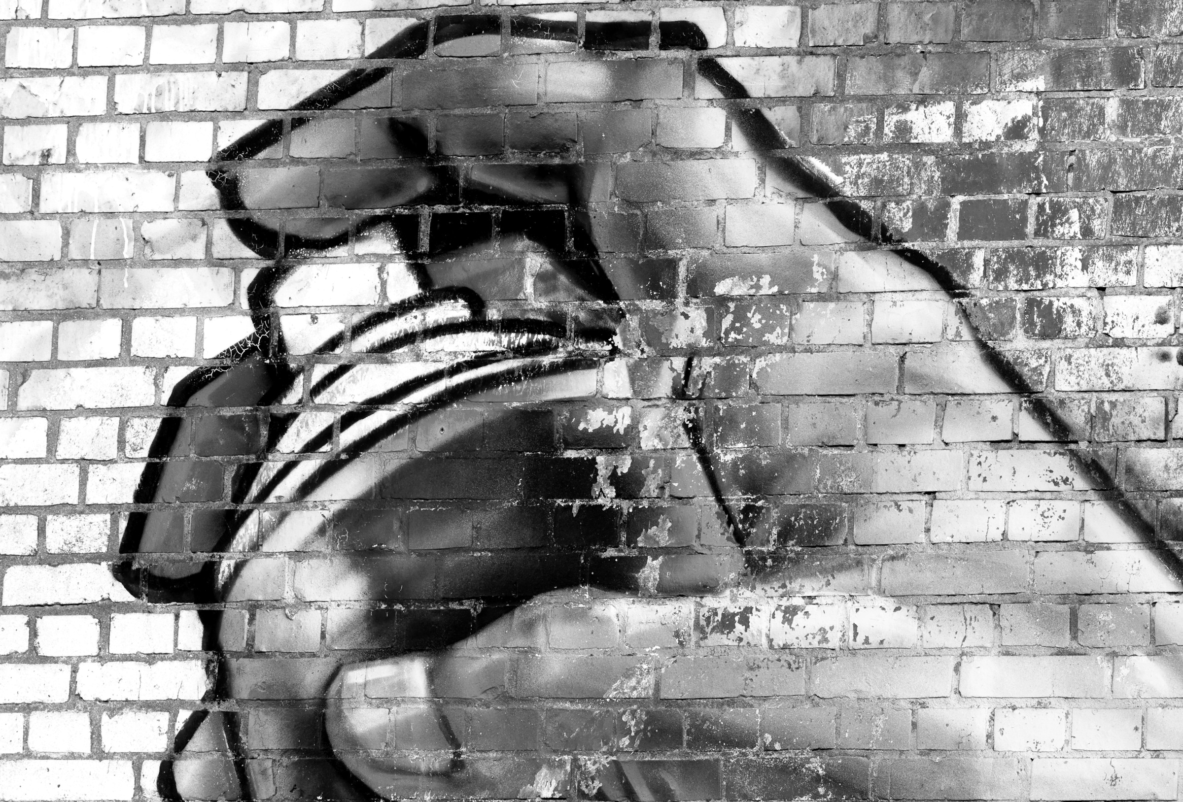 Image of Papermoon Fototapete "Graffiti Schwarz Weiss"