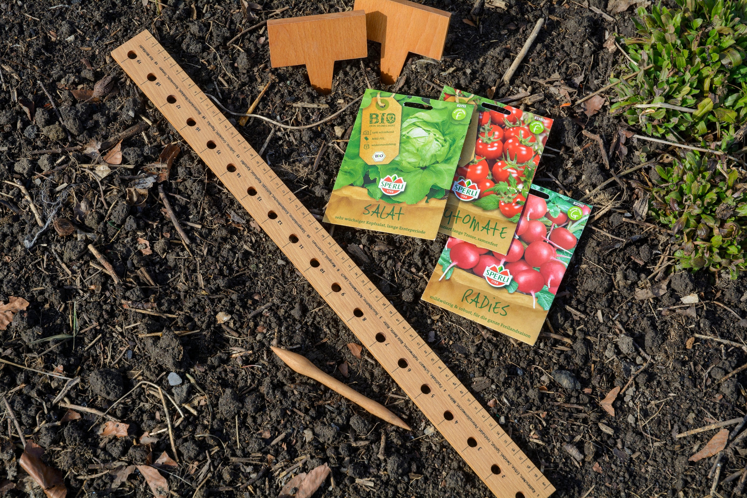 dobar Gemüsesamen, Pflanzen-Starter-Set aus Buchenholz mit 3 verschiedenen BIO-Saaten