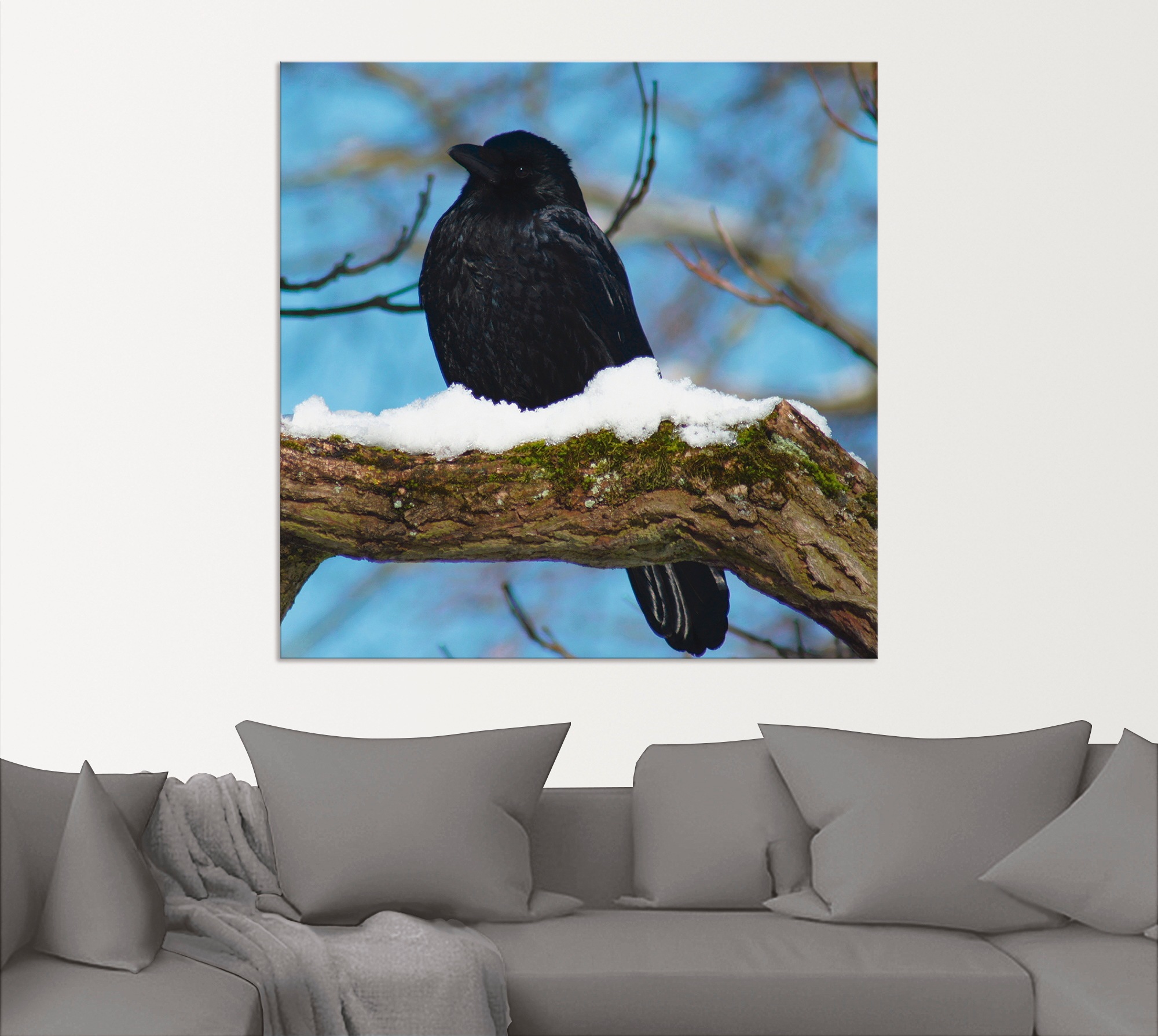 Artland Alu-Dibond-Druck »Rabe im Winter«, Vögel, (1 St.), für Innen- und Aussenbereich geeignet, Outdoorbild