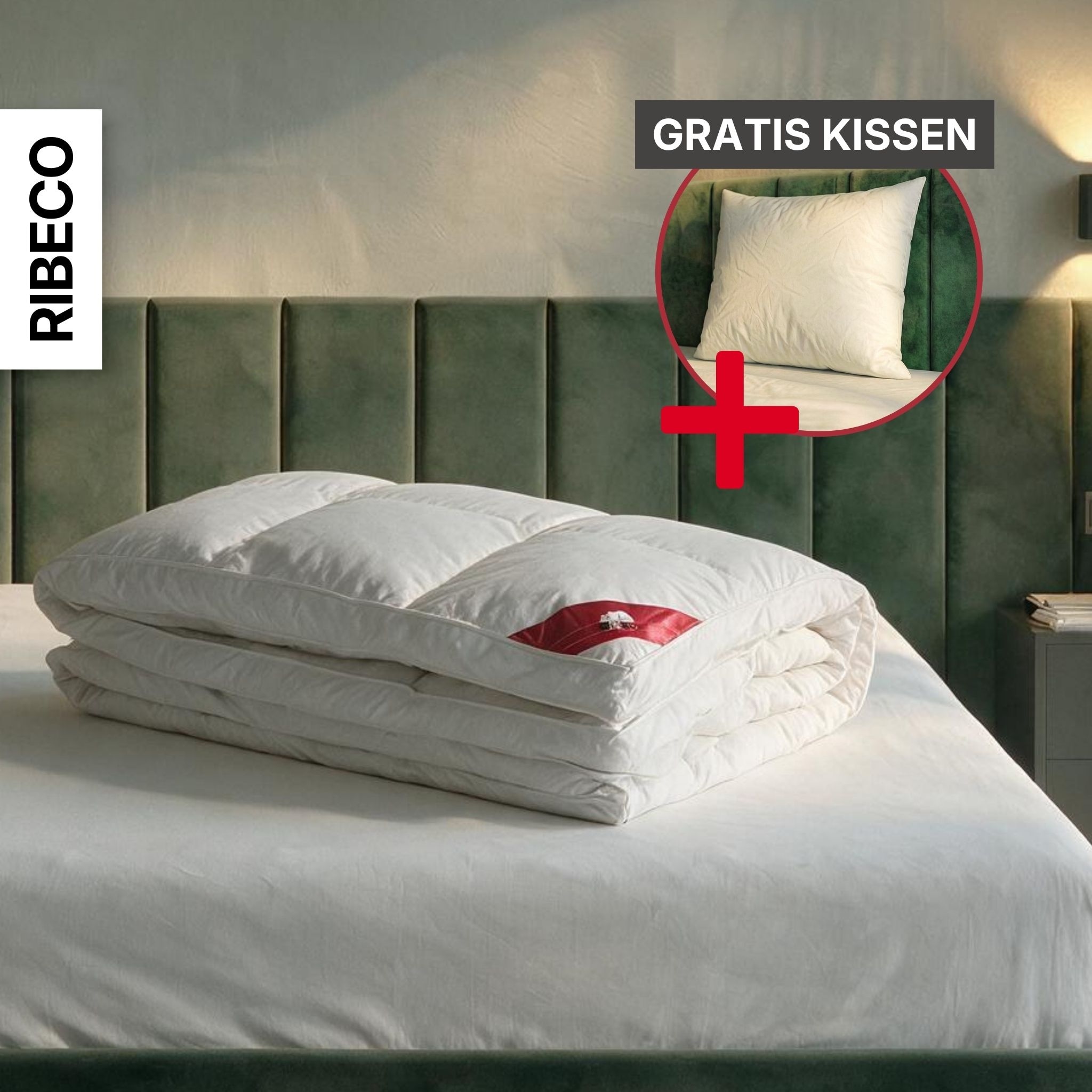 RIBECO Couette en duvet »Bettdecke in 135x200 und 155x220cm Topseller,« ultra-chaud Füllung 80 duvet 20 plumes 1 cuis tlg. Duvet et plumes, Made in Germany, avec coussin 80x80 cm offert