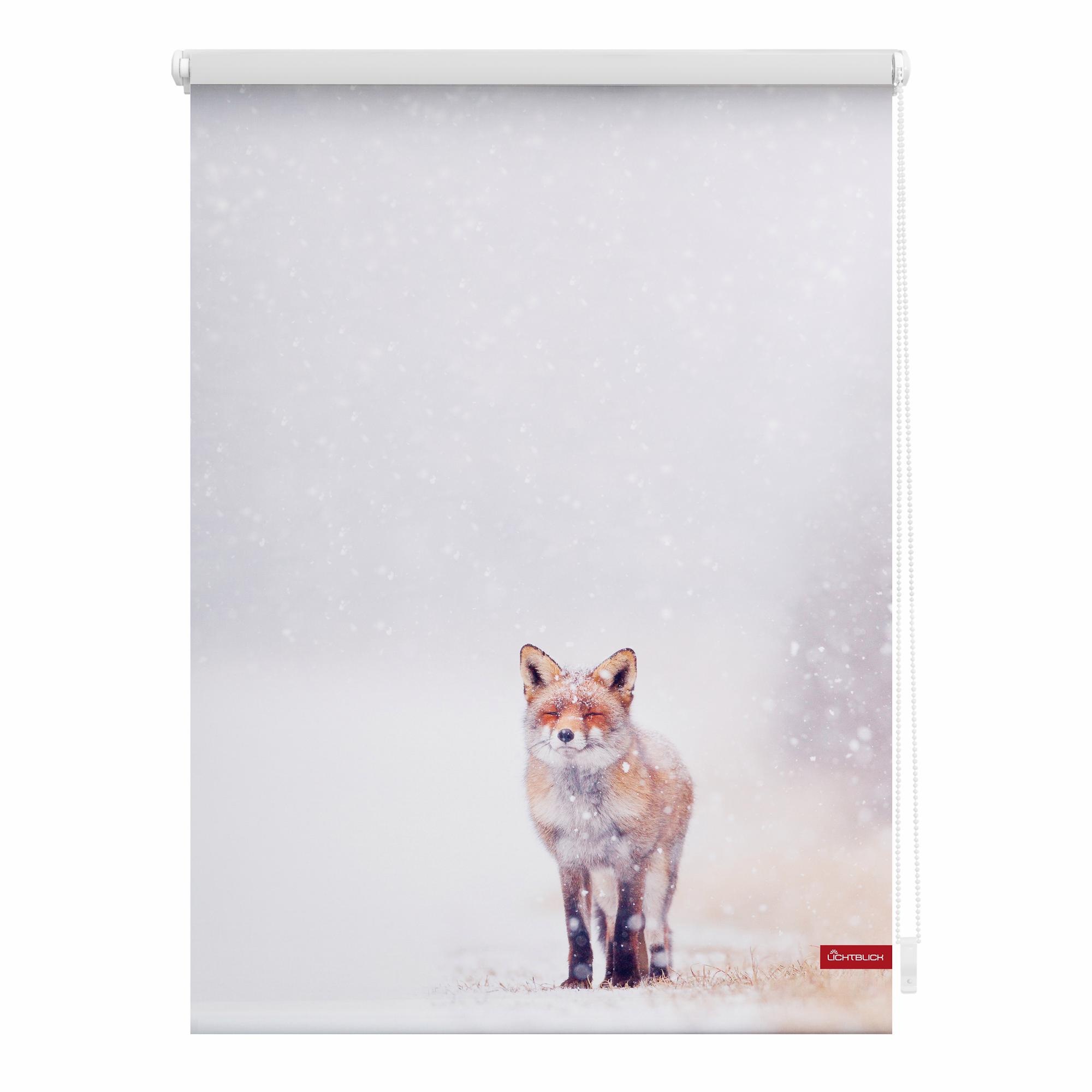 Image of LICHTBLICK ORIGINAL Seitenzugrollo »Klemmfix Motiv Fuchs im Schnee«, Lichtschutz, ohne Bohren, freihängend, bedruckt bei Ackermann Versand Schweiz