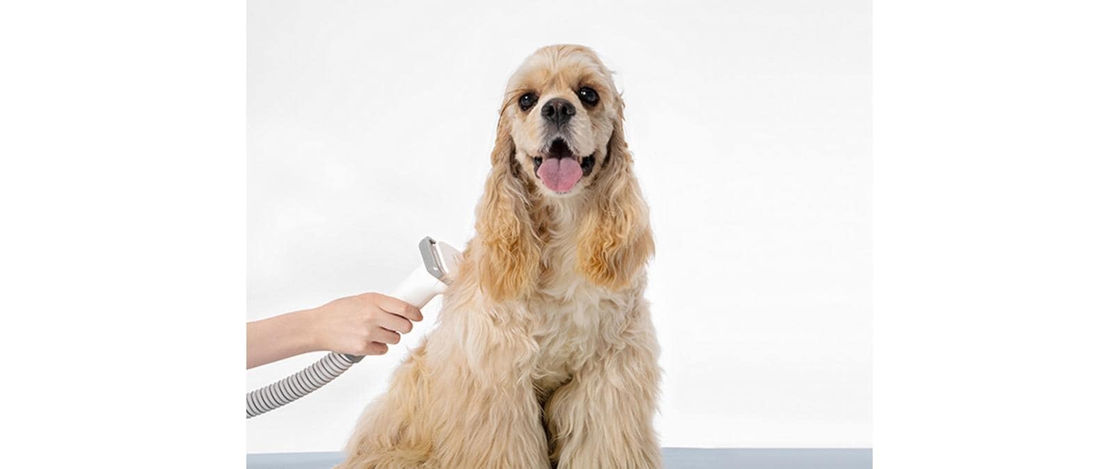 Hundeschermaschine »Neakasa P0 Pro 5in1 mit Staubsauger«